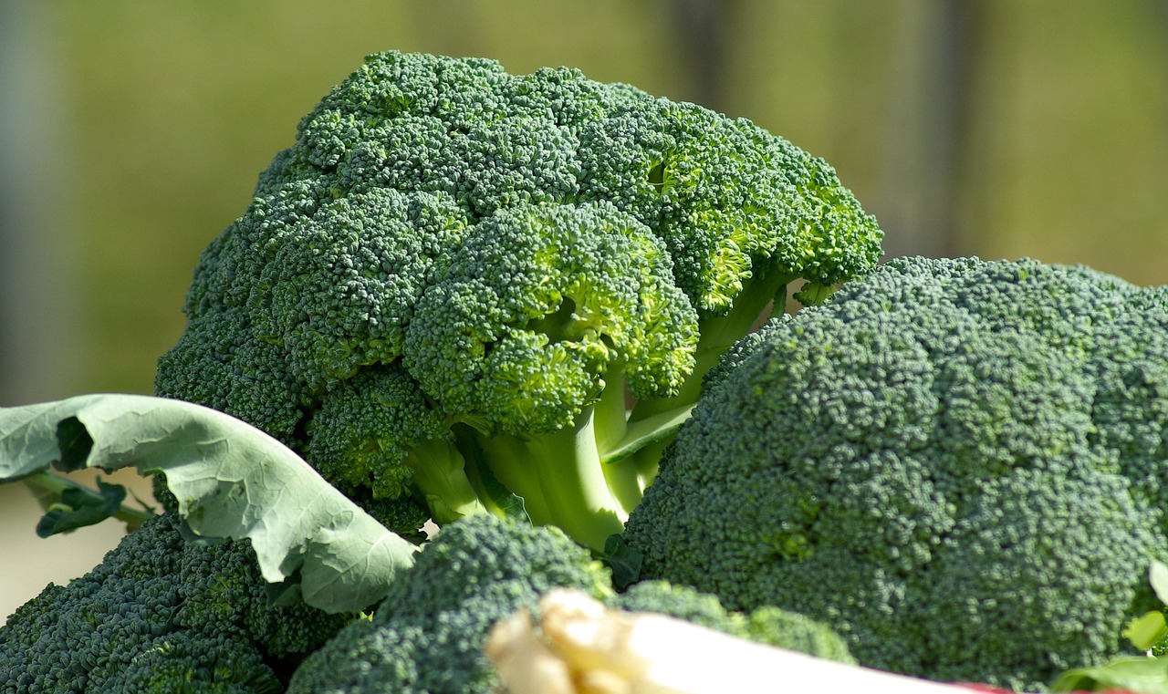 Broccoli. Foto: Pixabay/jackmac34