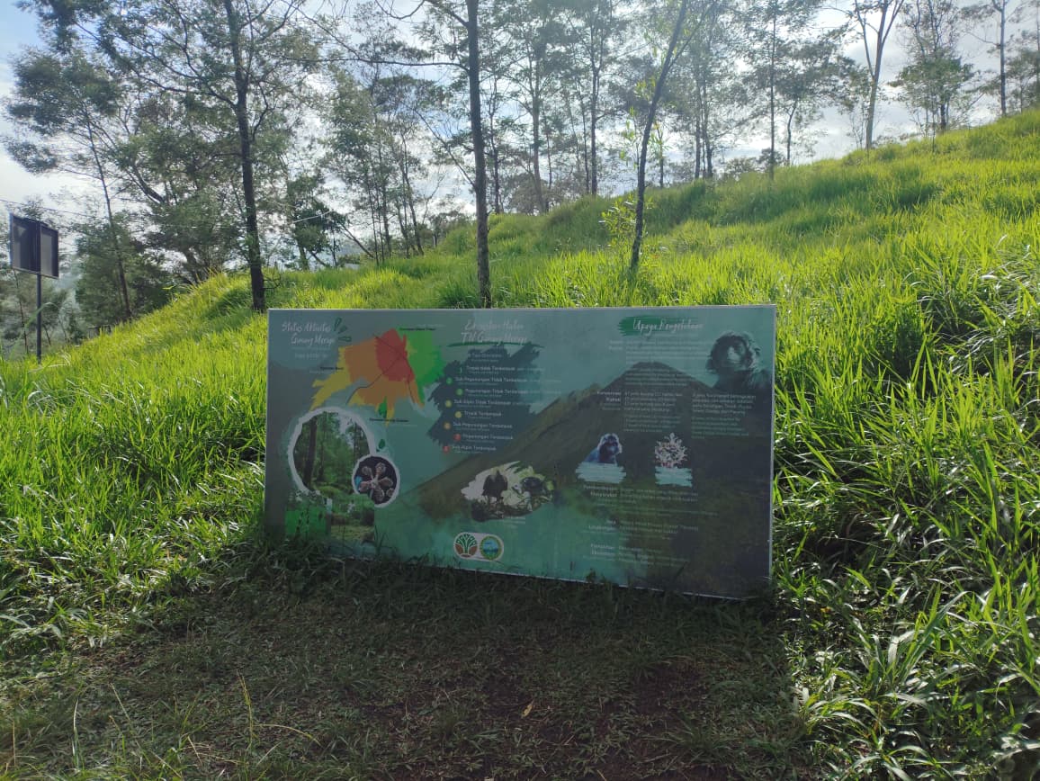 Camping ground Kalitalang dengan suasana sejuk dan hijau | Dokumen pribadi