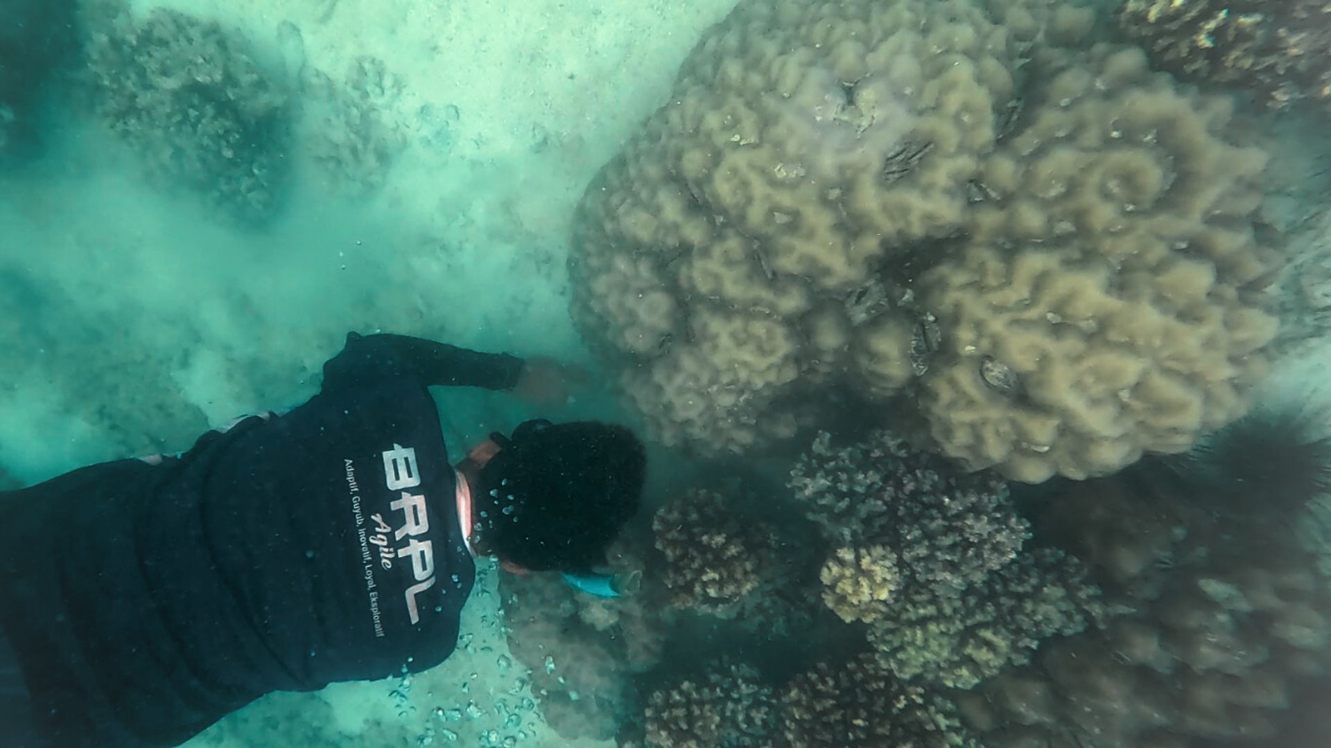 Foto: Putri Amelia Ulya