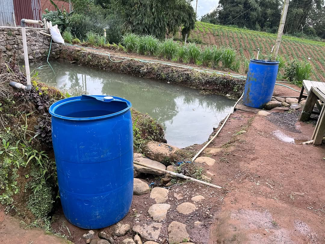 Potret drum dan embung untuk irigasi pertanian Desa Kaenrapia | Instagram KBA Kanreapia