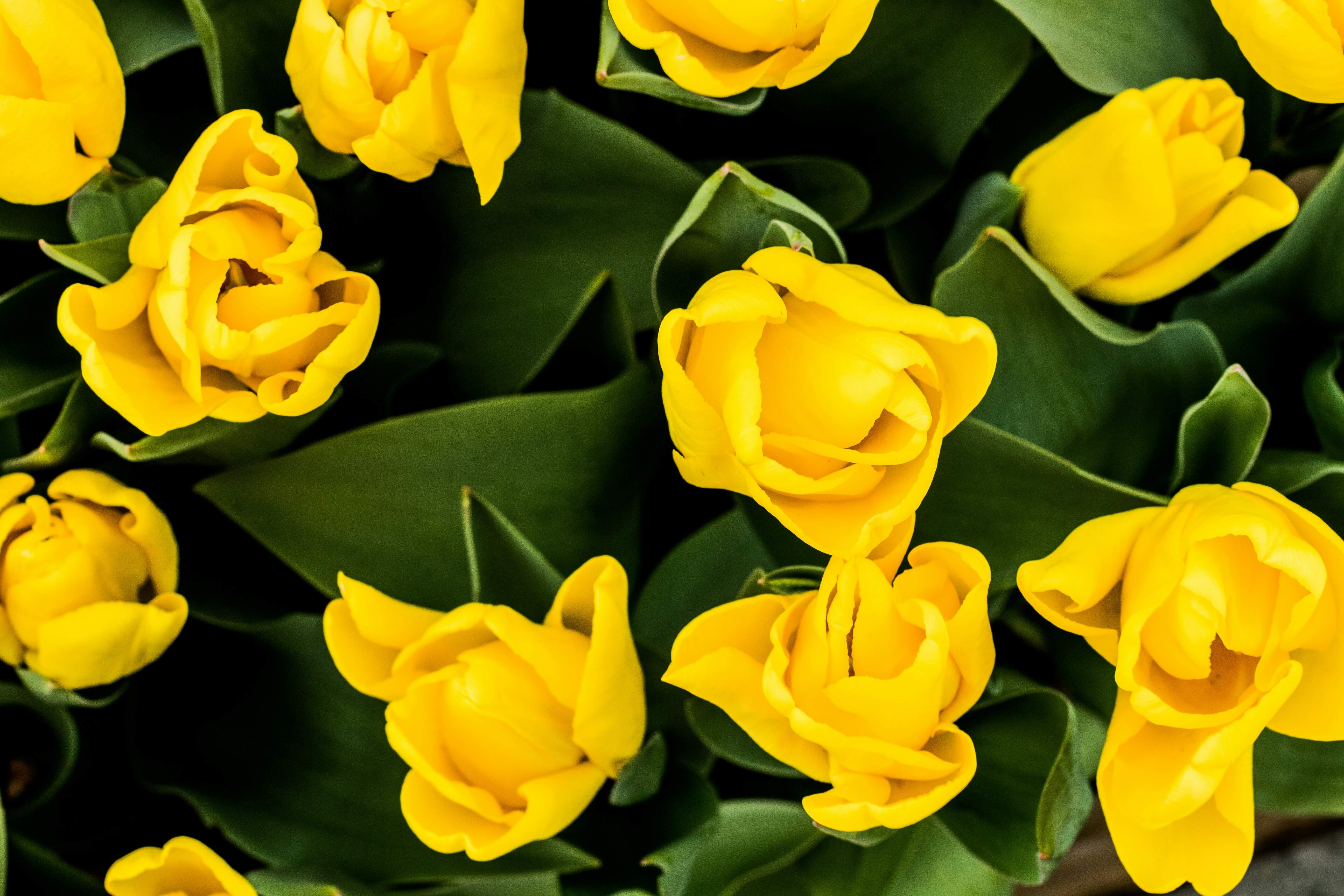 Ide Kado Hari Ayah Simple dan Murah, tapi Berkesan | Sumber: Unsplash @Daniel Nasse