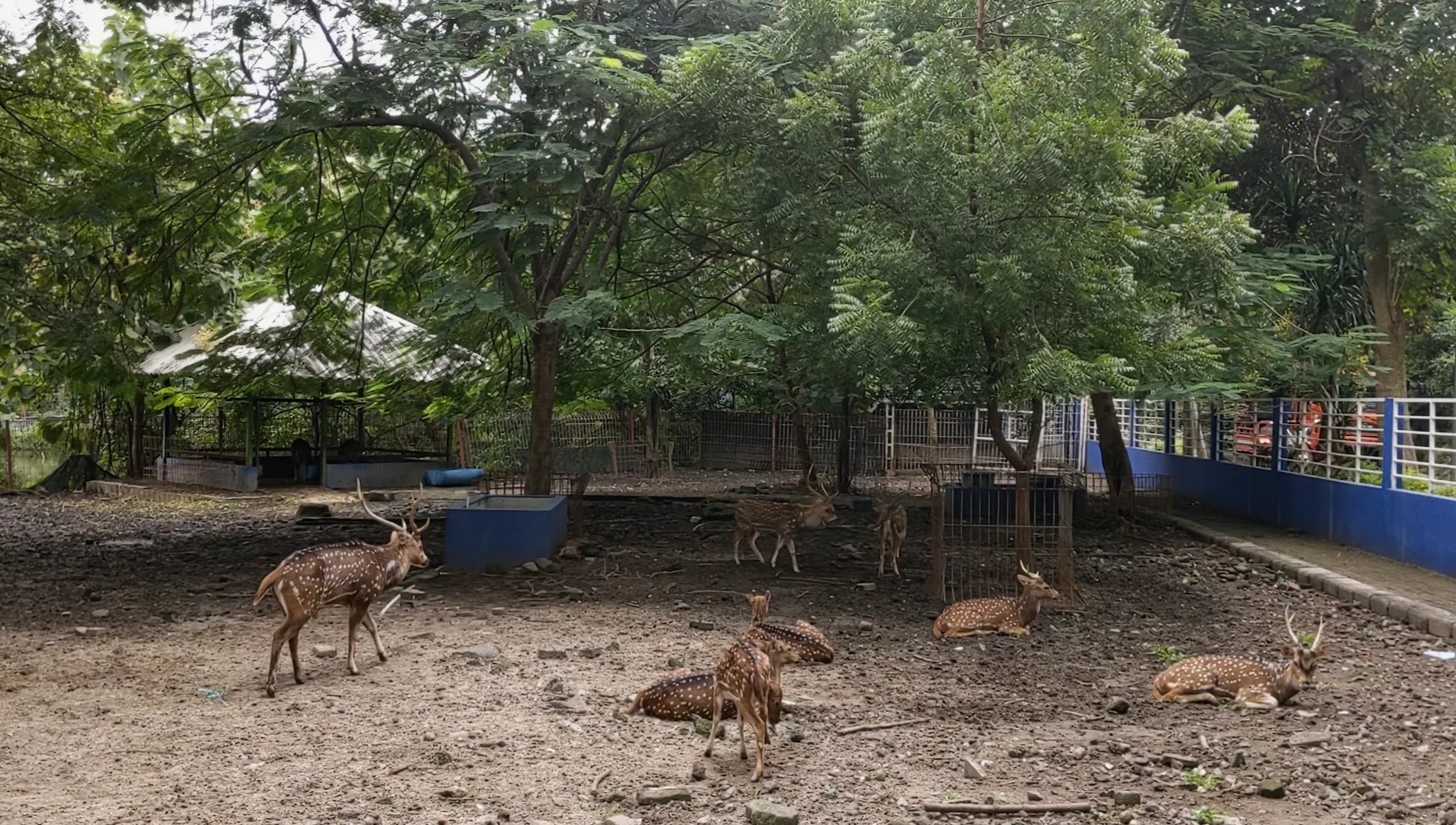 Kebun Bibit Wonorejo Surabaya, Destinasi Healing dari Hiruk Pikuk Kota