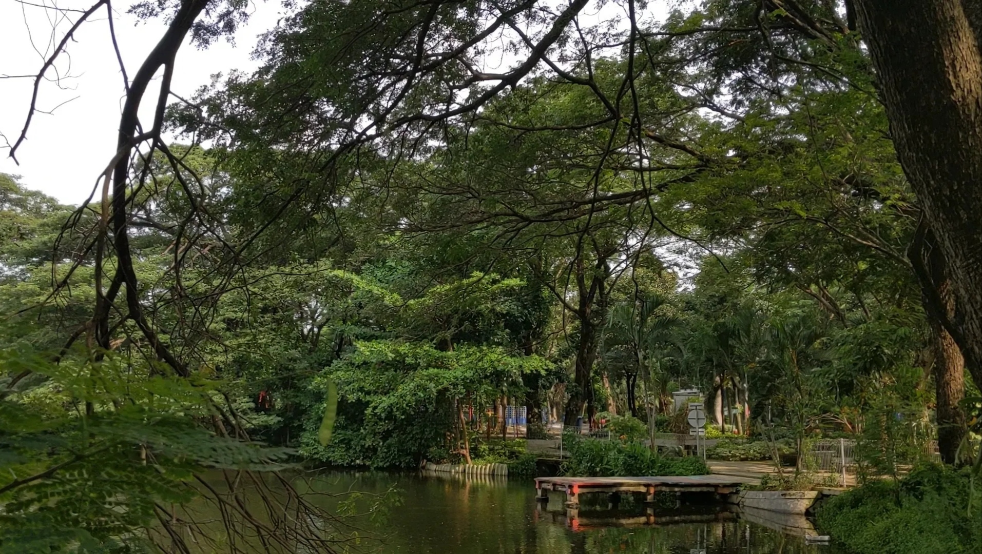 Kebun Bibit Wonorejo Surabaya, Destinasi Healing dari Hiruk Pikuk Kota