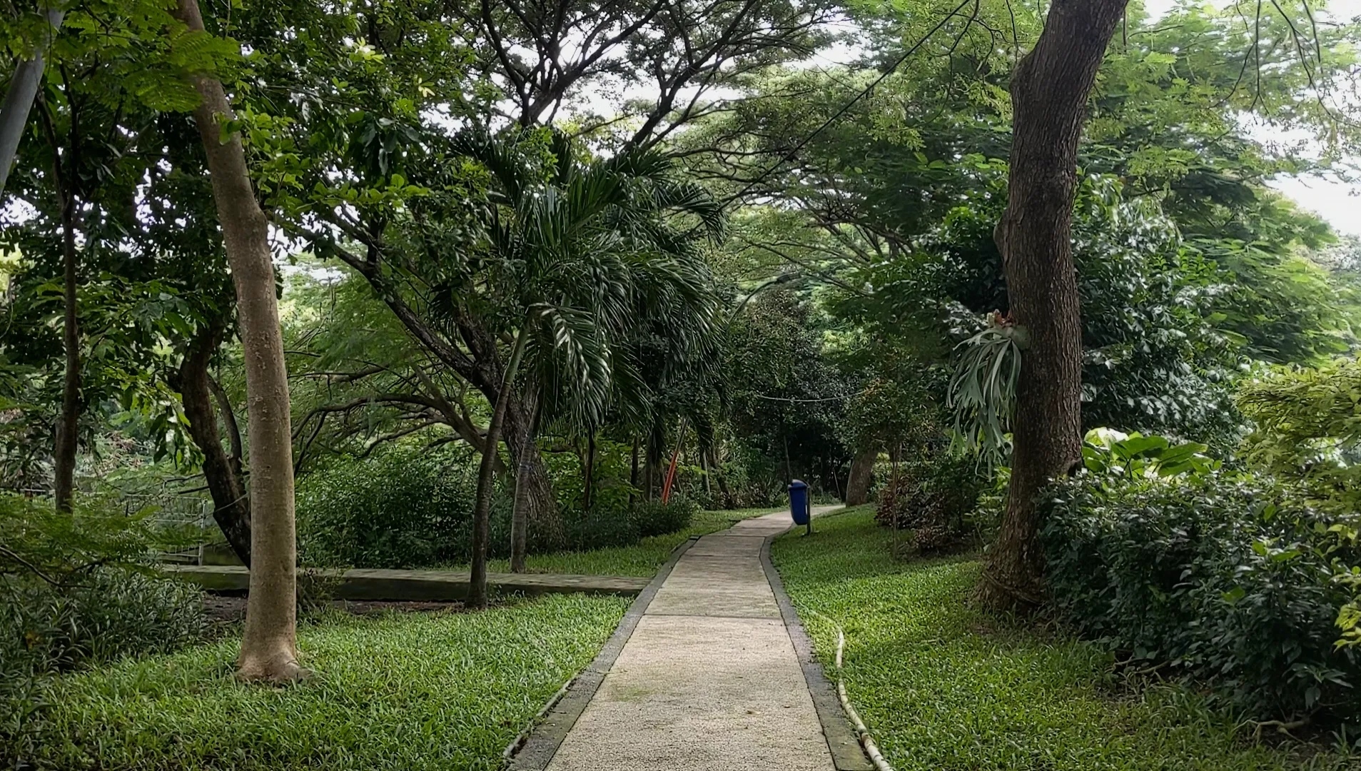 Kebun Bibit Wonorejo Surabaya, Destinasi Healing dari Hiruk Pikuk Kota