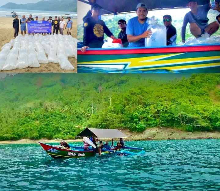 Potret pelepasan benih Ikan Krapu di zona inti Pantai Lenggoksono | Instagram KBA Lenggoksono