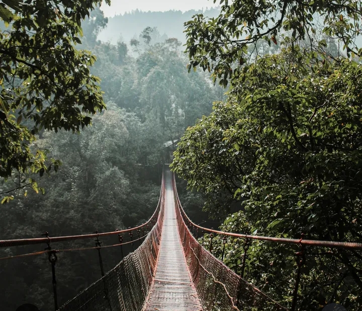 Potret objek wisata Suspension Bridge (Jembatan Gantung) | Instagram Situgunung Suspension Bridge Sukabumi