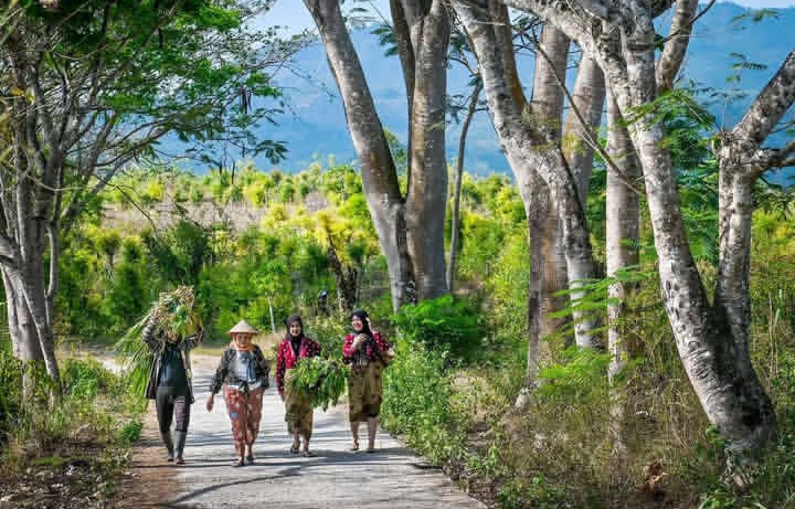 Potret wisatawan kota menjalani hidup di desa dengan memilih paket wisata live in | Instagram KBA Kemuning