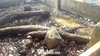 Makam Eyang Embah Sura Adipraja/Youtube : Agus Kusdinar (Dok. Pribadi)