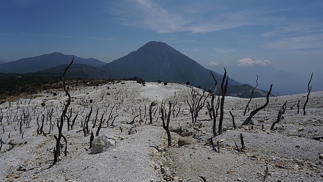 Hutan Mati Gunung Papandayan (2.665mdpl) | Foto: Wikimedia Commons