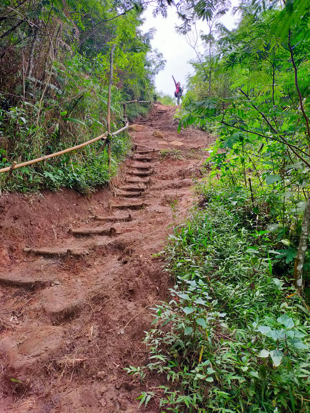 Sebagian jalan turun ada tangga dari ranting kayu dan peangan dari bambu