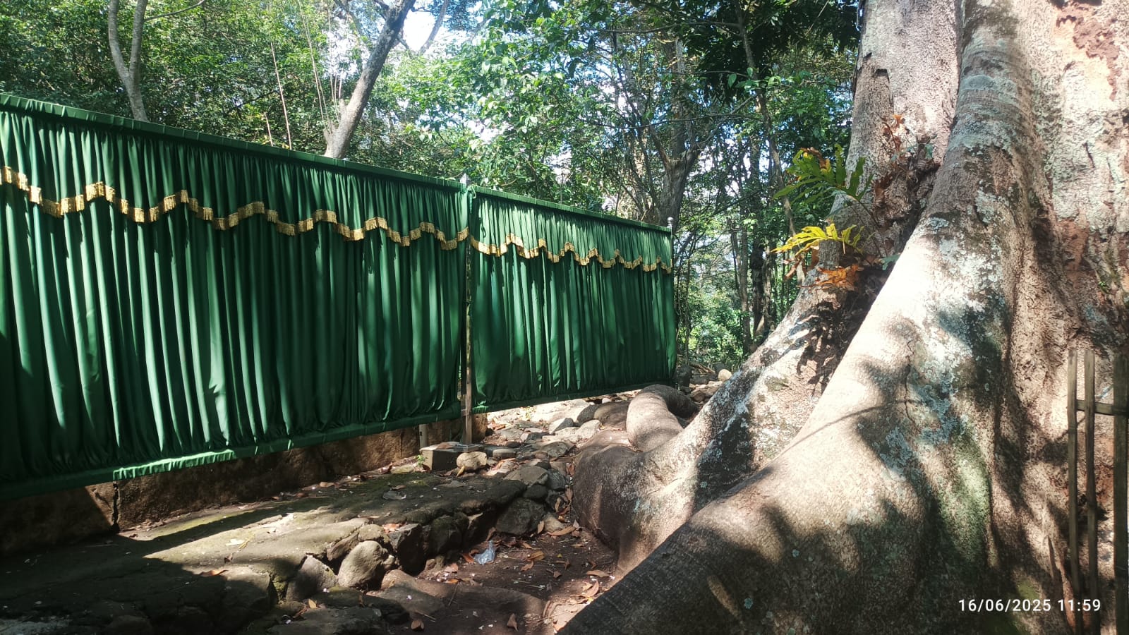 Makam Syekh Jafar Sidik tertutup kain hijau di bawah pohon besar yang bersih/Foto : Dok. Pribadi (Agus Kusdinar)