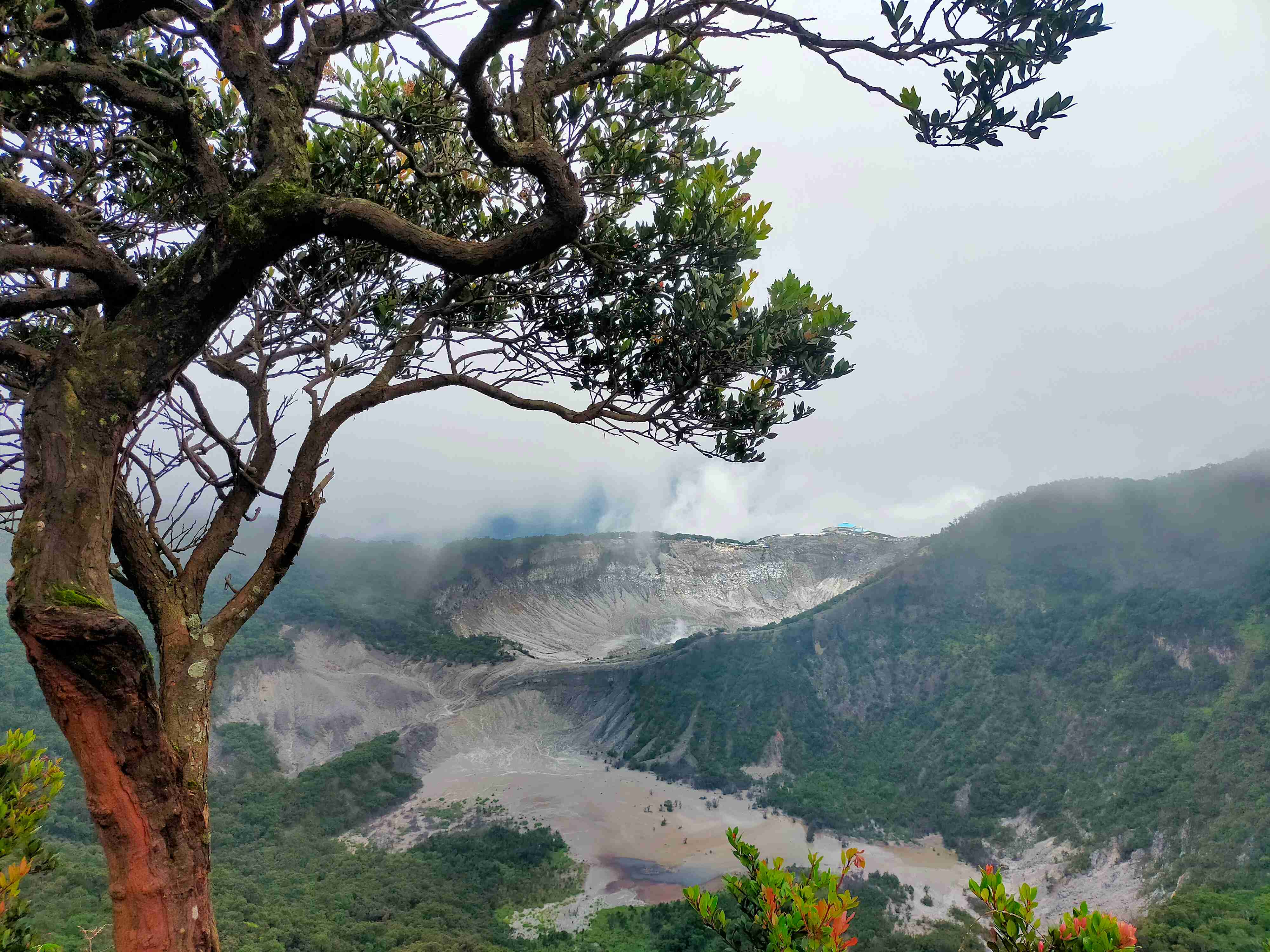 Kawah Pangguyangan Badak bertetangga dengan Kawah Ratu dan Kawah Upas, membentuk garis memanjang dari barat ke timur