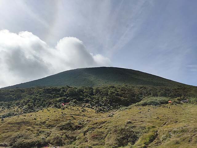 Alun-Alun Surya Kencana Gunung Gede (2.958 mdpl) | Foto: Wikimedia Commons
