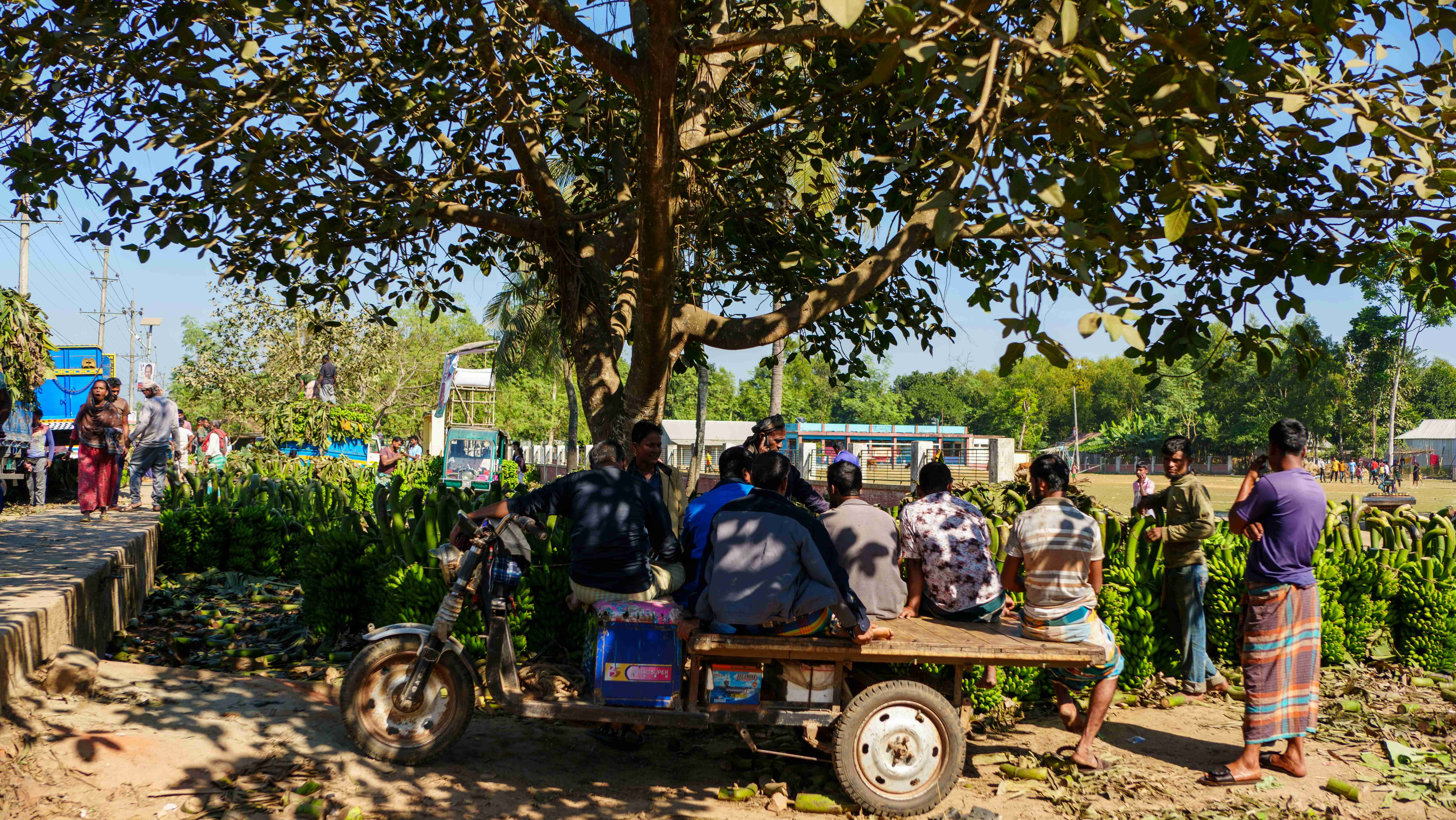 Ilustrasi kelompok petani dalam mengembangkan agrowisata