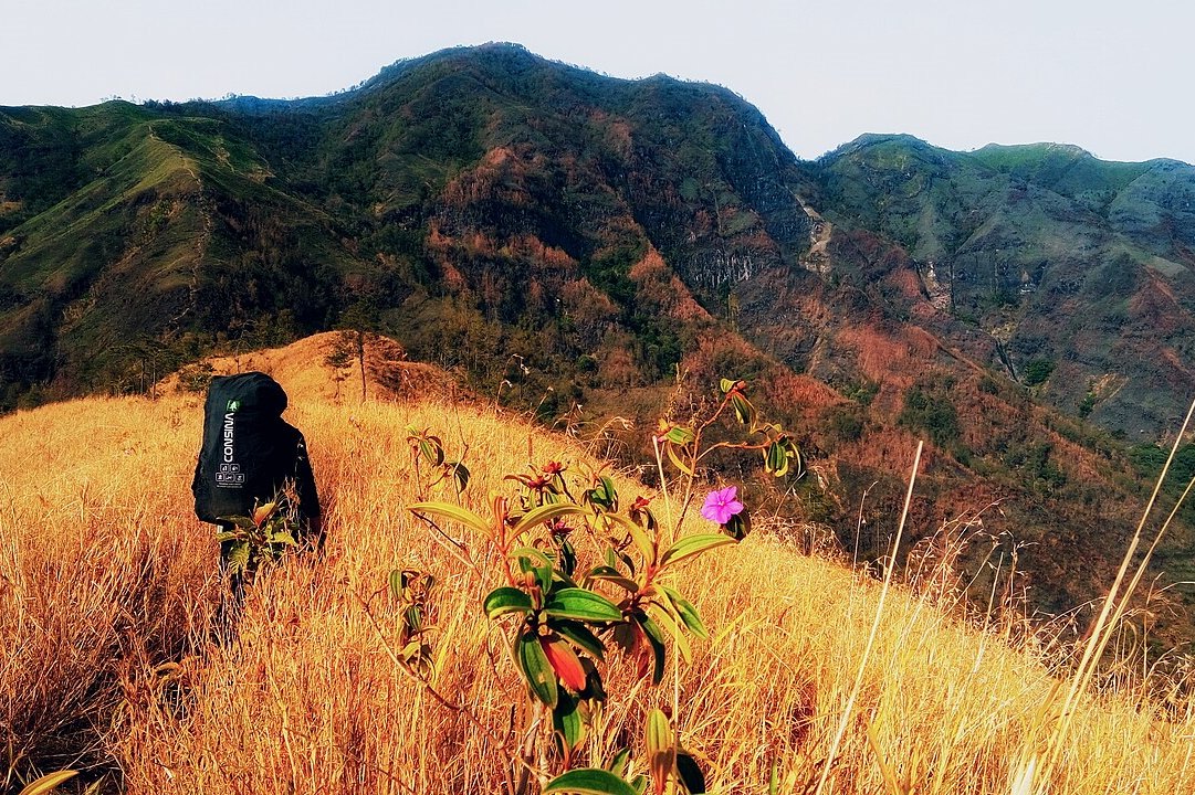 Mendaki Gunung Wilis