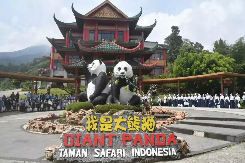 Istana Panda Indonesia di Taman Safari Bogor | Taman Safari