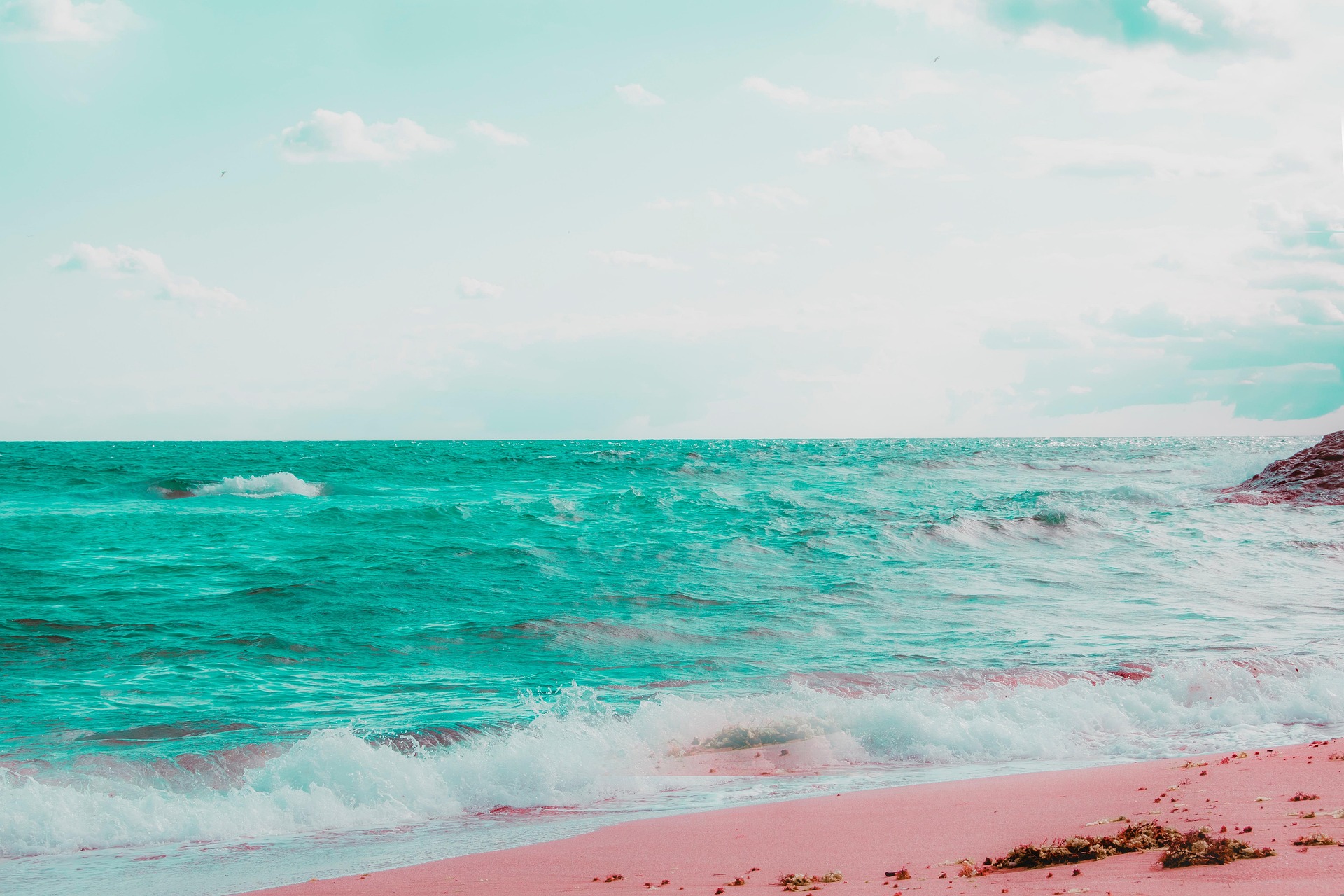 Pantai Pink Lambu | Sumber: Pixabay