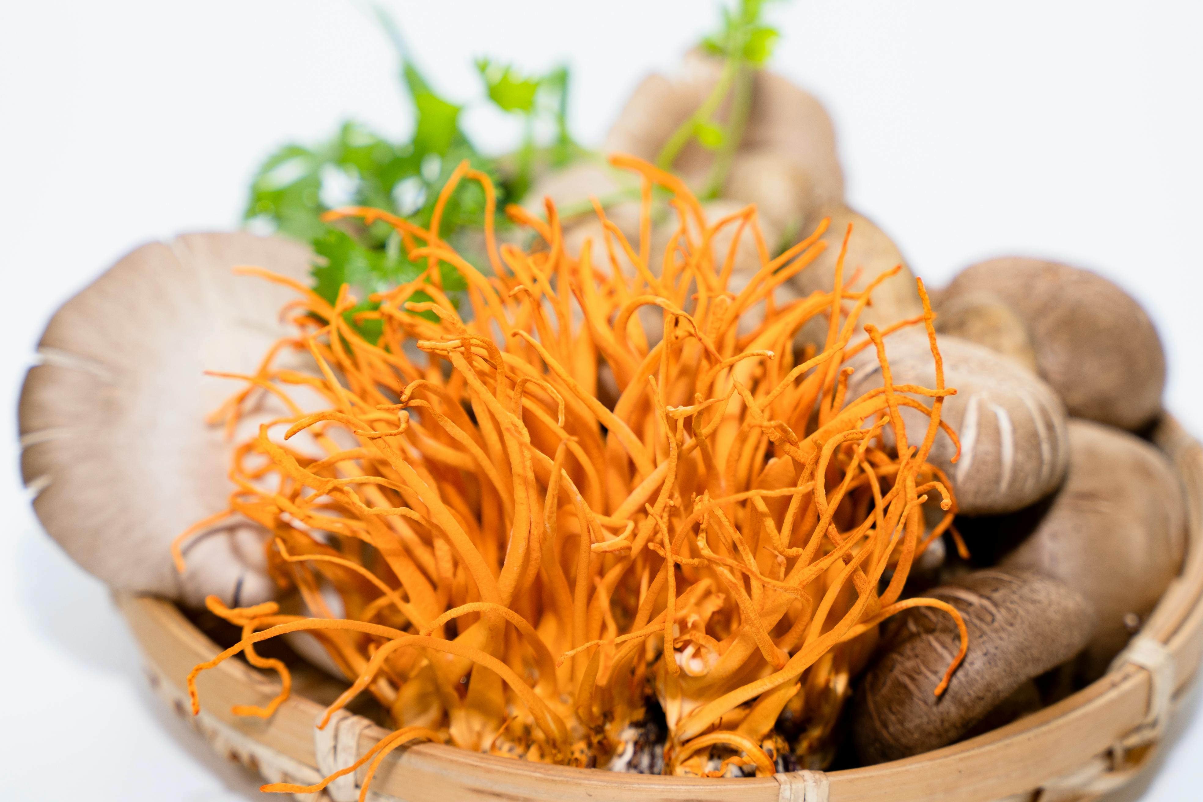 Manfaat Kesehatan Jamur Cordyceps I Sumber: Pexels (Media Dung)
