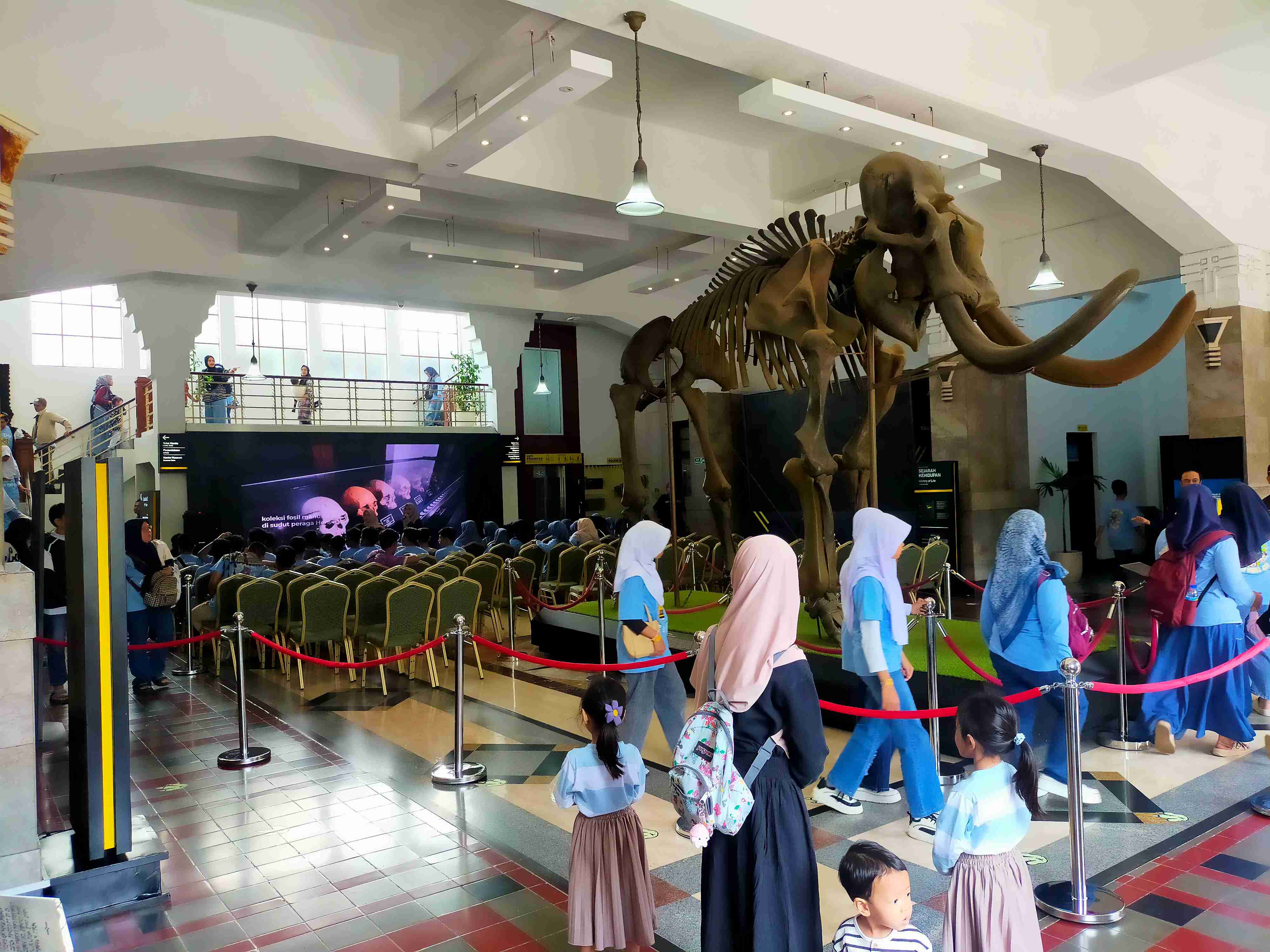 Fosil Gajah Blora, koleksi Museum Geologi Bandung (Foto: dokumen penulis)