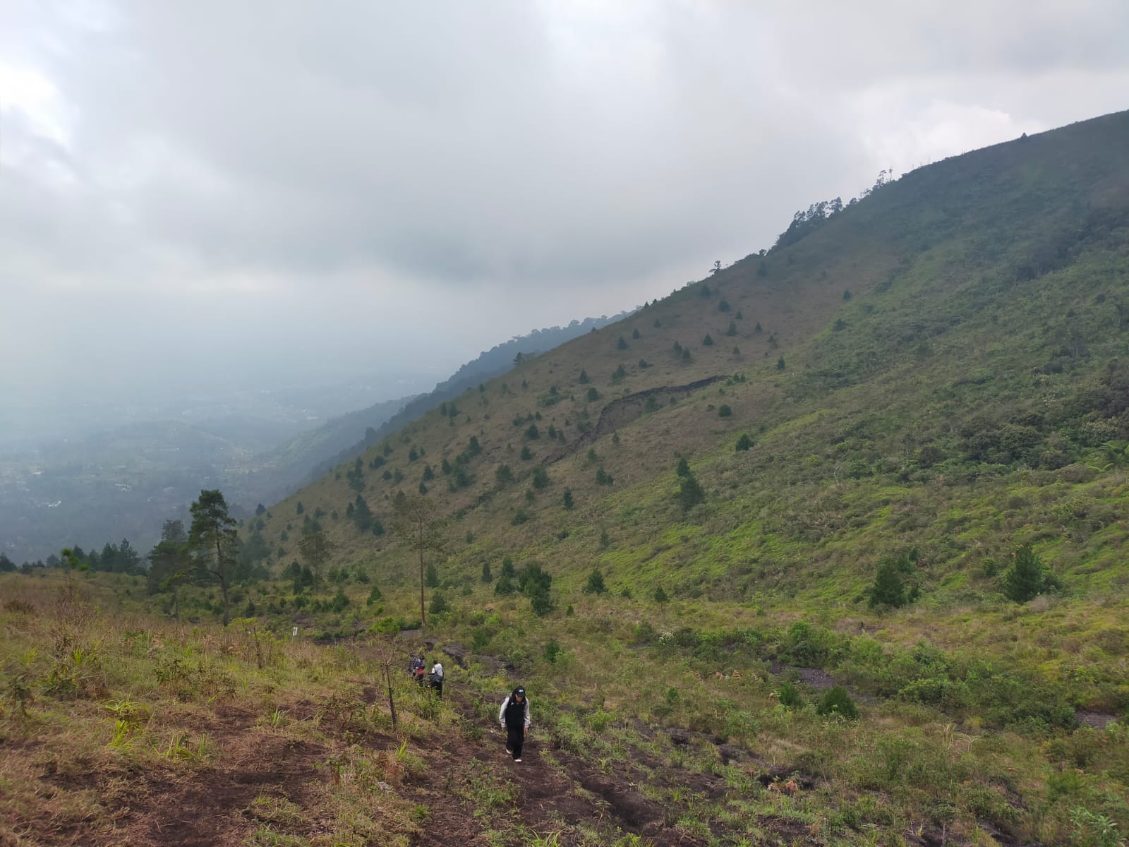 Lereng Gunung Guntur Garut (Foto: dokumen penulis)