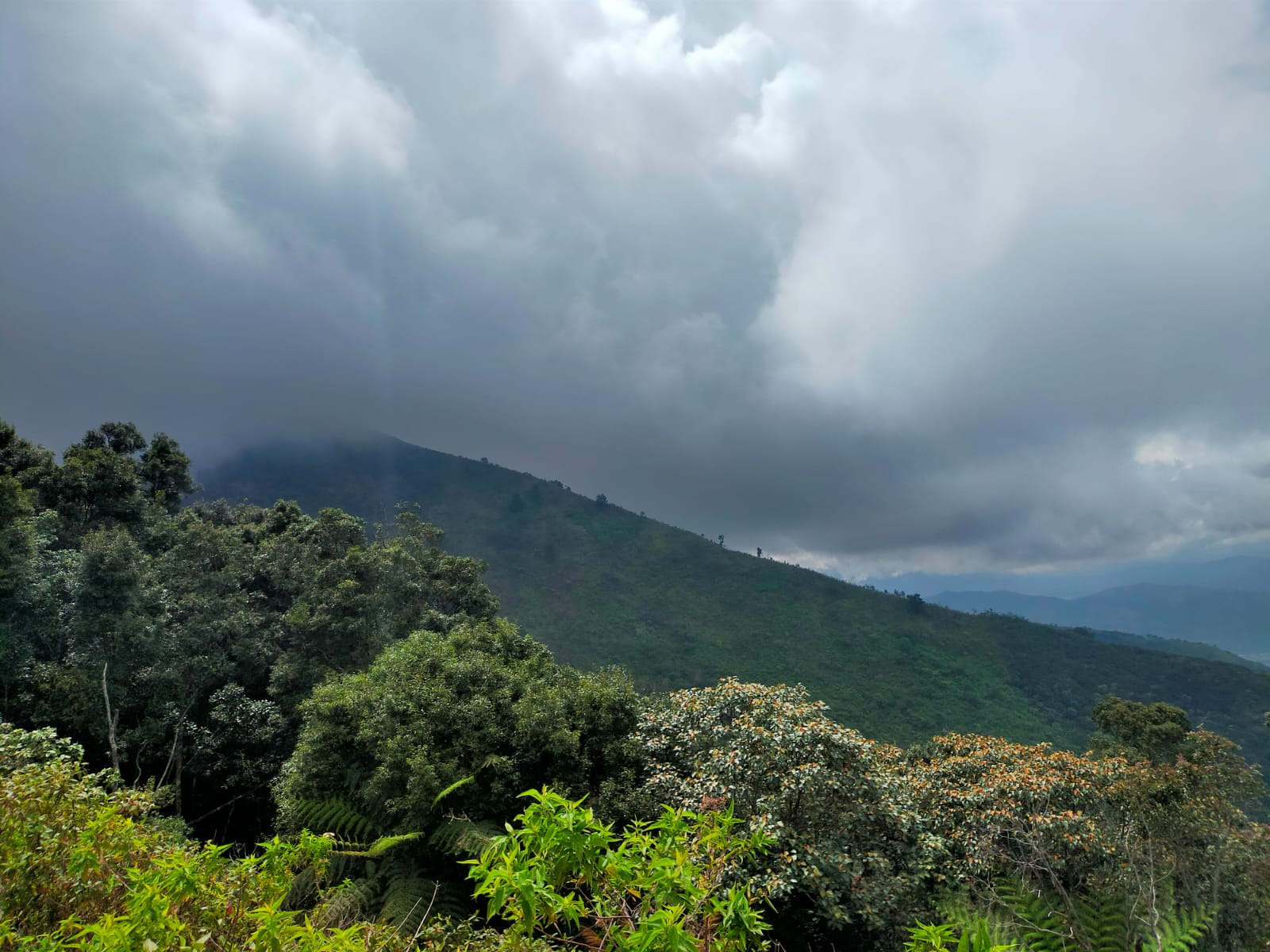 Gunung Bohong Cimahi (Foto: Dokumen penulis)
