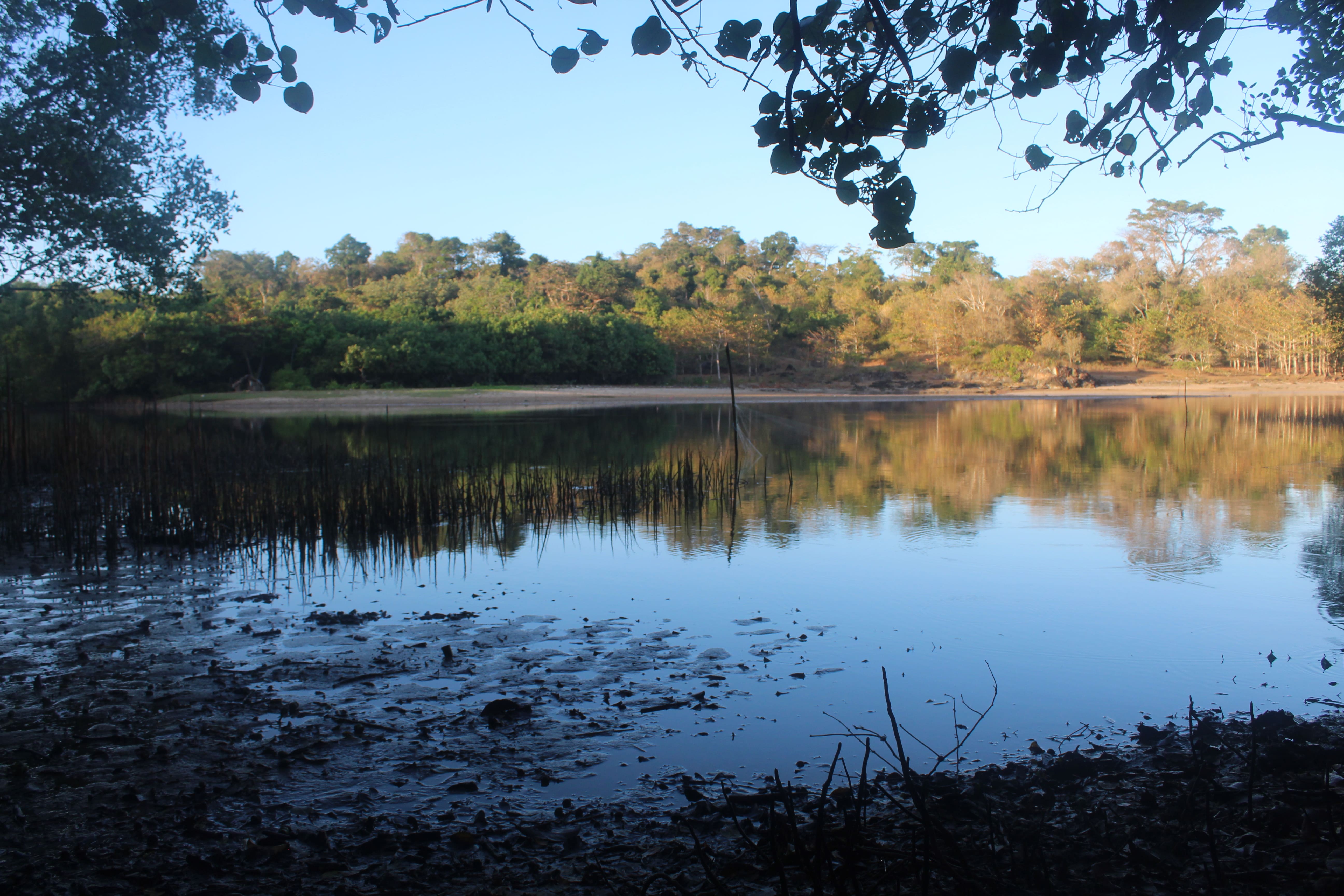 Keragaman Jenis Ekosistem di Suaka Margasatwa Cikepuh I Sumber : Dokumentasi Pribadi