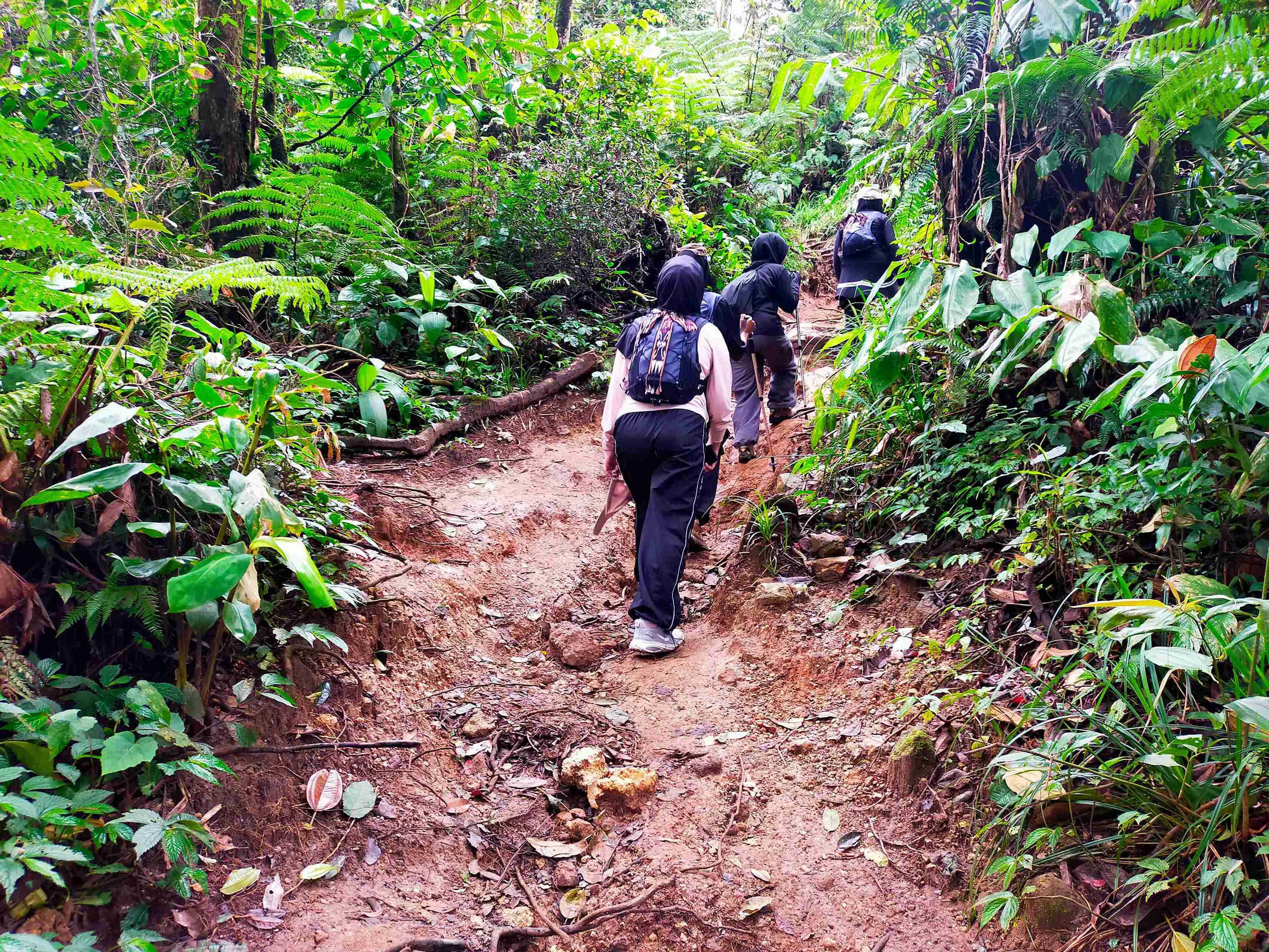 Mendaki Gunung Tangkuban Perahu (Foto: Fabian S.R.)
