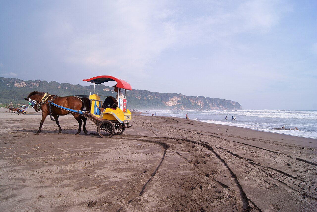 Pantai Parangtritis dengan ciri khas pasirnya yang berwarna coklat kehitaman. (Wikimedia Commons | Midori)
