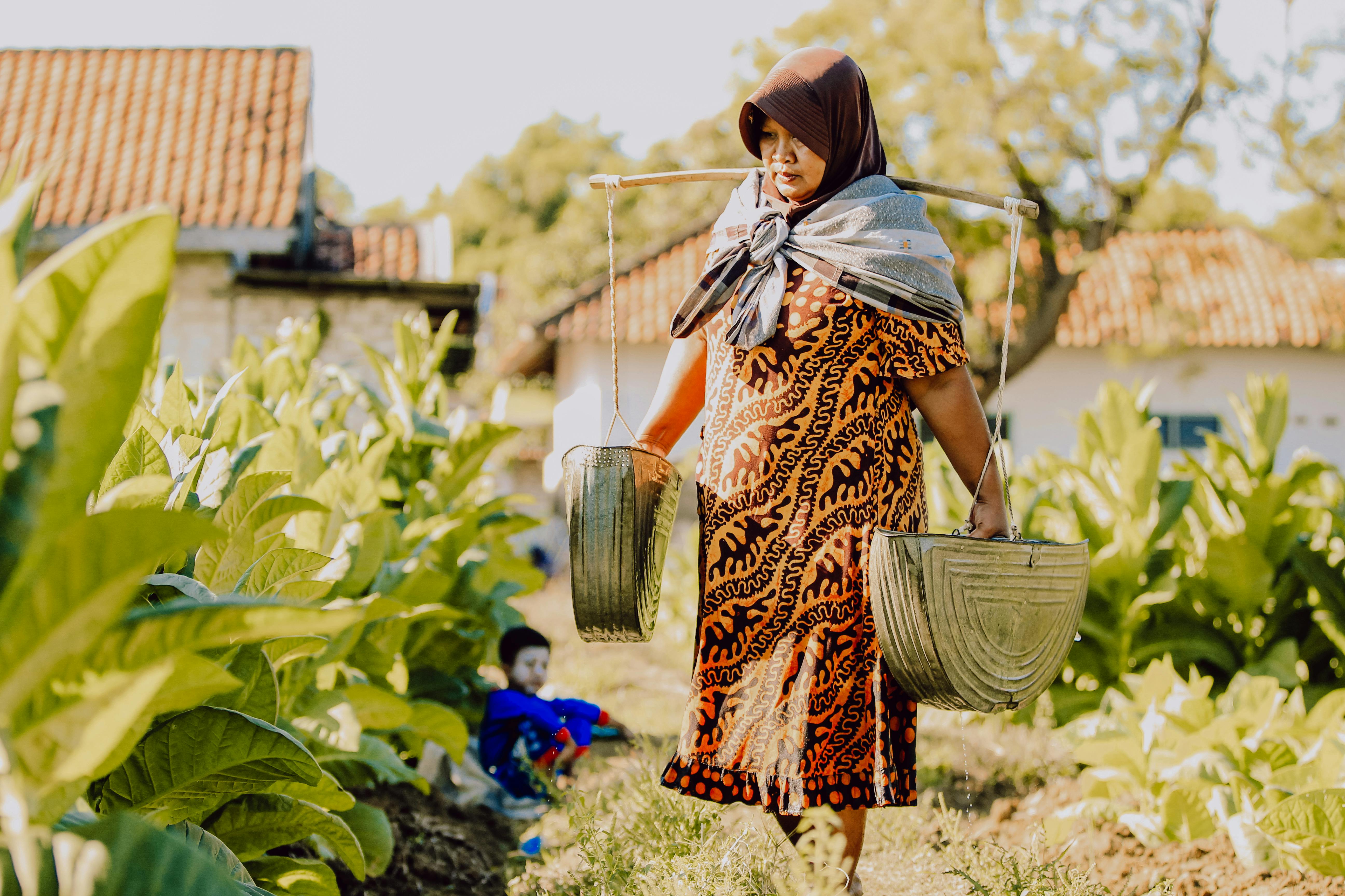 Ilustrasi mata pencaharian masyarakat Madura