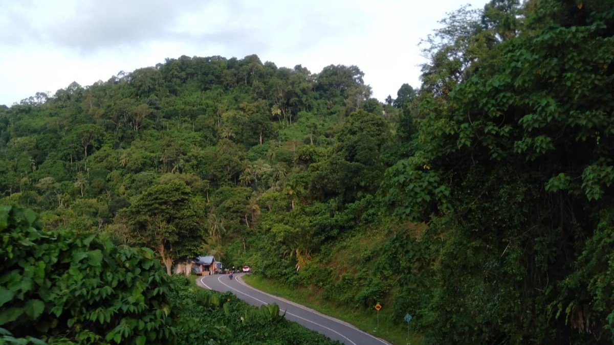 Jalan Menuju Pantai Air Manis