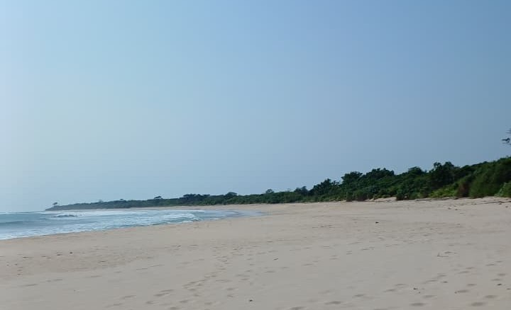 Pantai di Suaka Margasatwa Cikepuh Kabupaten Sukabumi I Sumber : Dokumentasi Pribadi