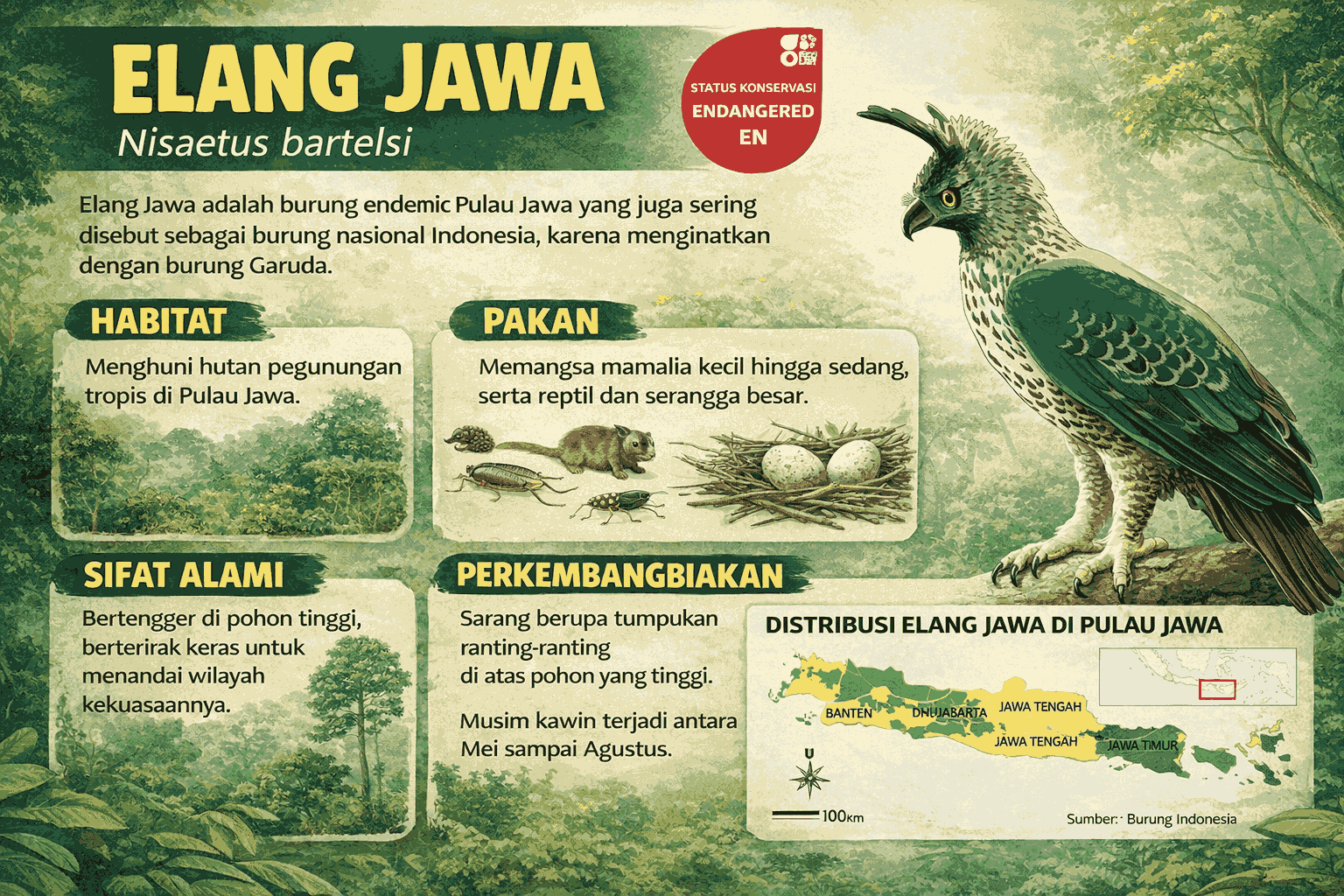Elang Jawa menyimpan keunikan biologis yang jarang dibahas publik (Gambar: ChatGPT Image) Elang Jawa menyimpan keunikan biologis yang jarang dibahas publik (Gambar: ChatGPT Image)