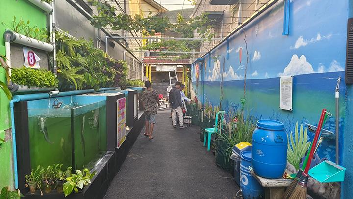 Gang 8, Jalan Nusa Indah IV, RT8/RW4 Kelurahan Malaka Jaya, Kecamatan Duren Sawit, Jakarta Timur, Senin, 22 April 2024. Tersedia 32 item pencegah krisis planet di lokasi ini, mulai dari kolam gizi warga, tanaman produktif hingga akuaponik. TEMPO/Alif Ilham Fajriadi