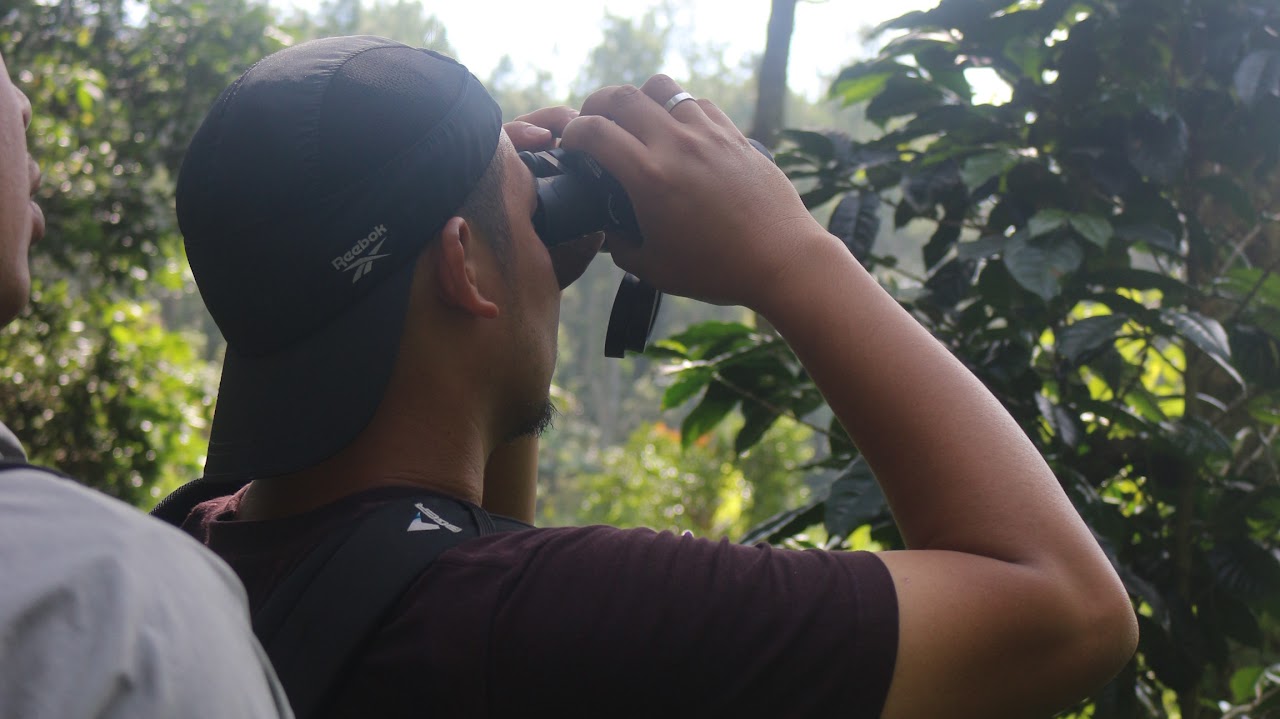 melihat burung di arboretum desa wisata alamendah