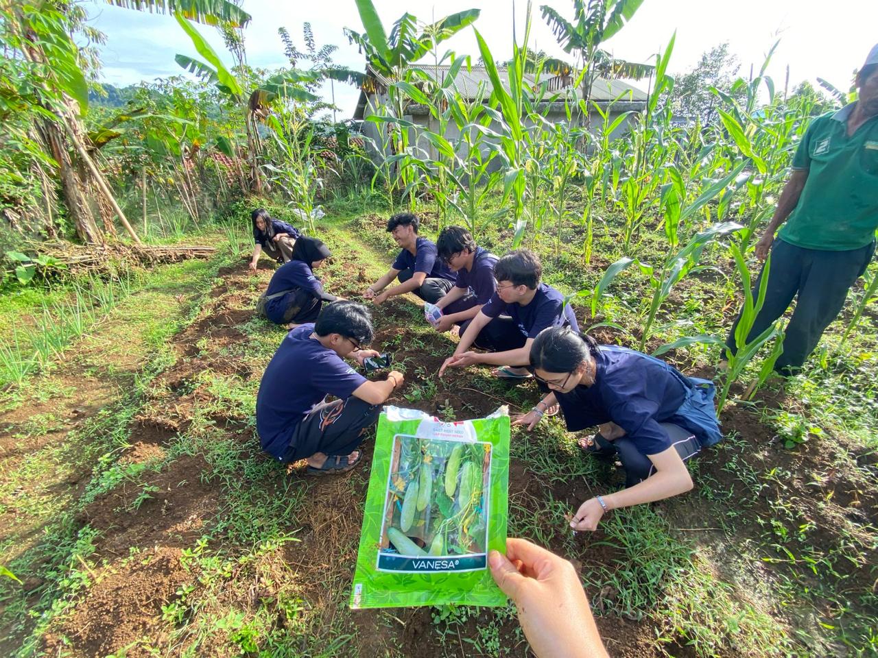 TANI MAJU: Tani Mandiri dan Maju. Program TANI MAJU yang meliputi sub-program kerja, OPTIMUN.