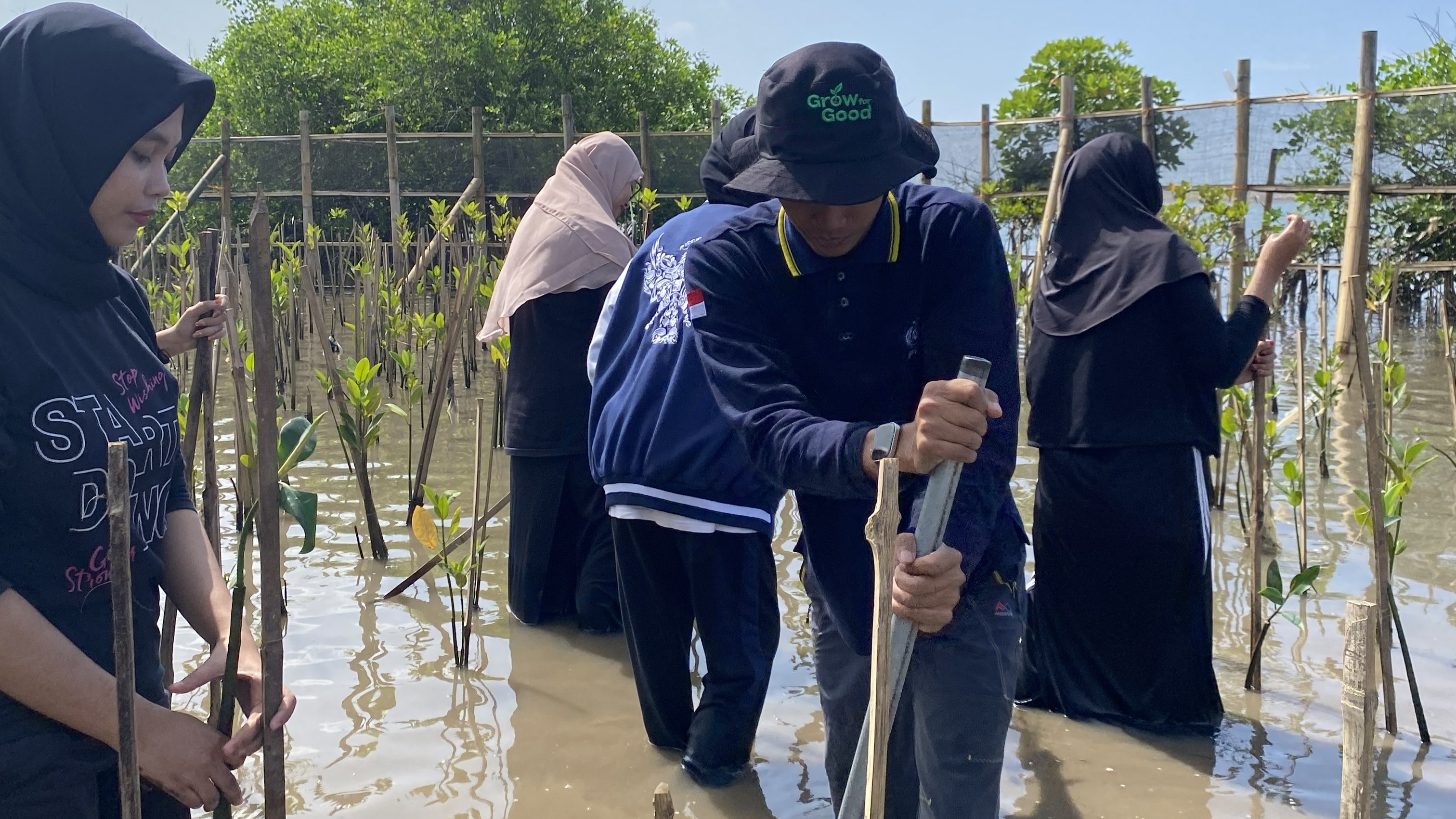 Kegiatan Green Coast Baros di kawasan Hutan Mangrove Baros DIY, Sabtu (14/3) | Foto: Green Coast Baros Center