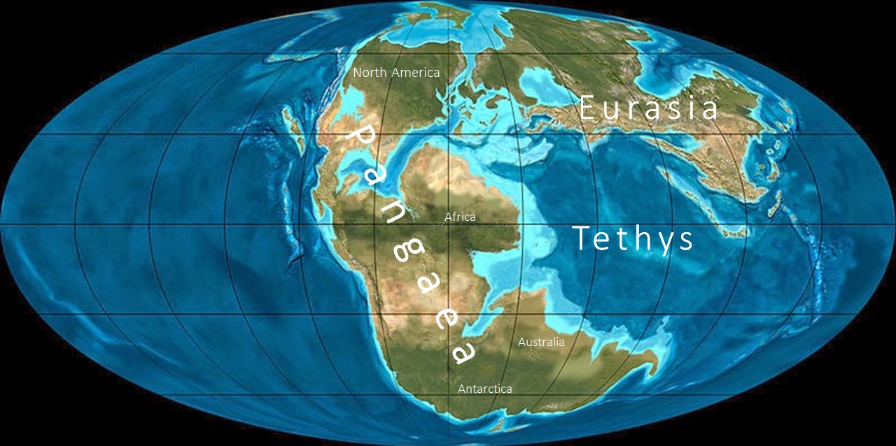  Peta bumi purba menunjukkan Samudra Tethys yang terjepit di antara benua raksasa Pangaea dan Eurasia. Wilayah perairan tropis yang sangat subur inilah yang menjadi cikal bakal cadangan minyak dan gas bumi melimpah di Timur Tengah serta sebagian wilayah Indonesia saat ini. Sumber gambar: Ron Blakey, NAU Geology 