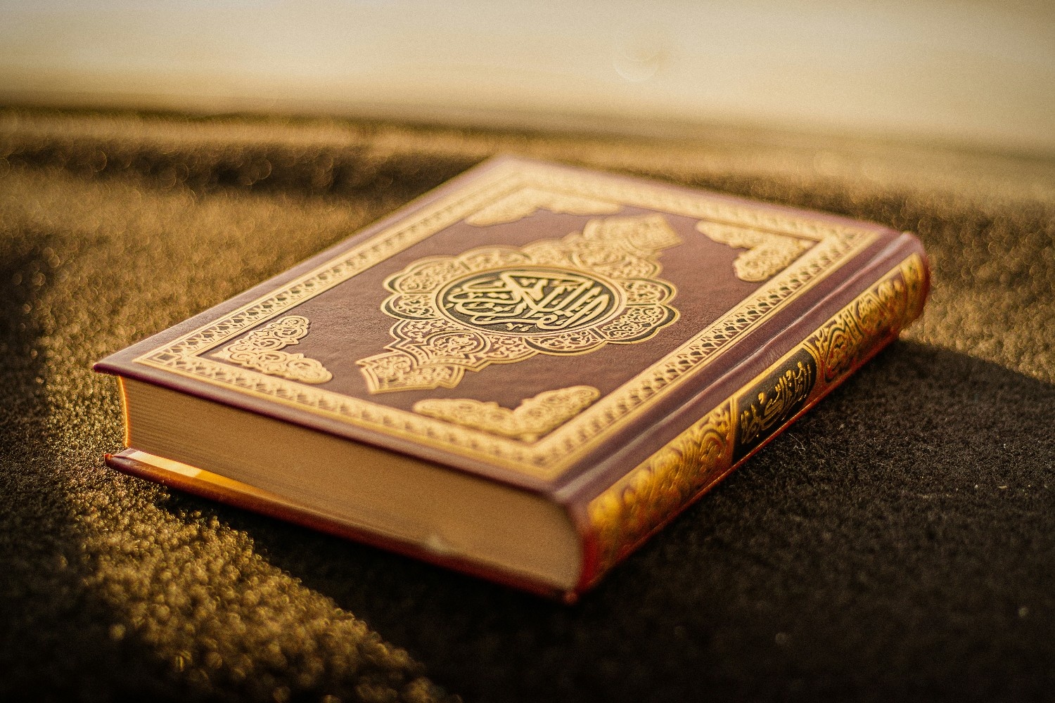 Potret Kitab Suci Al-Qur'an | Sumber: Unsplash @Malik Shibly