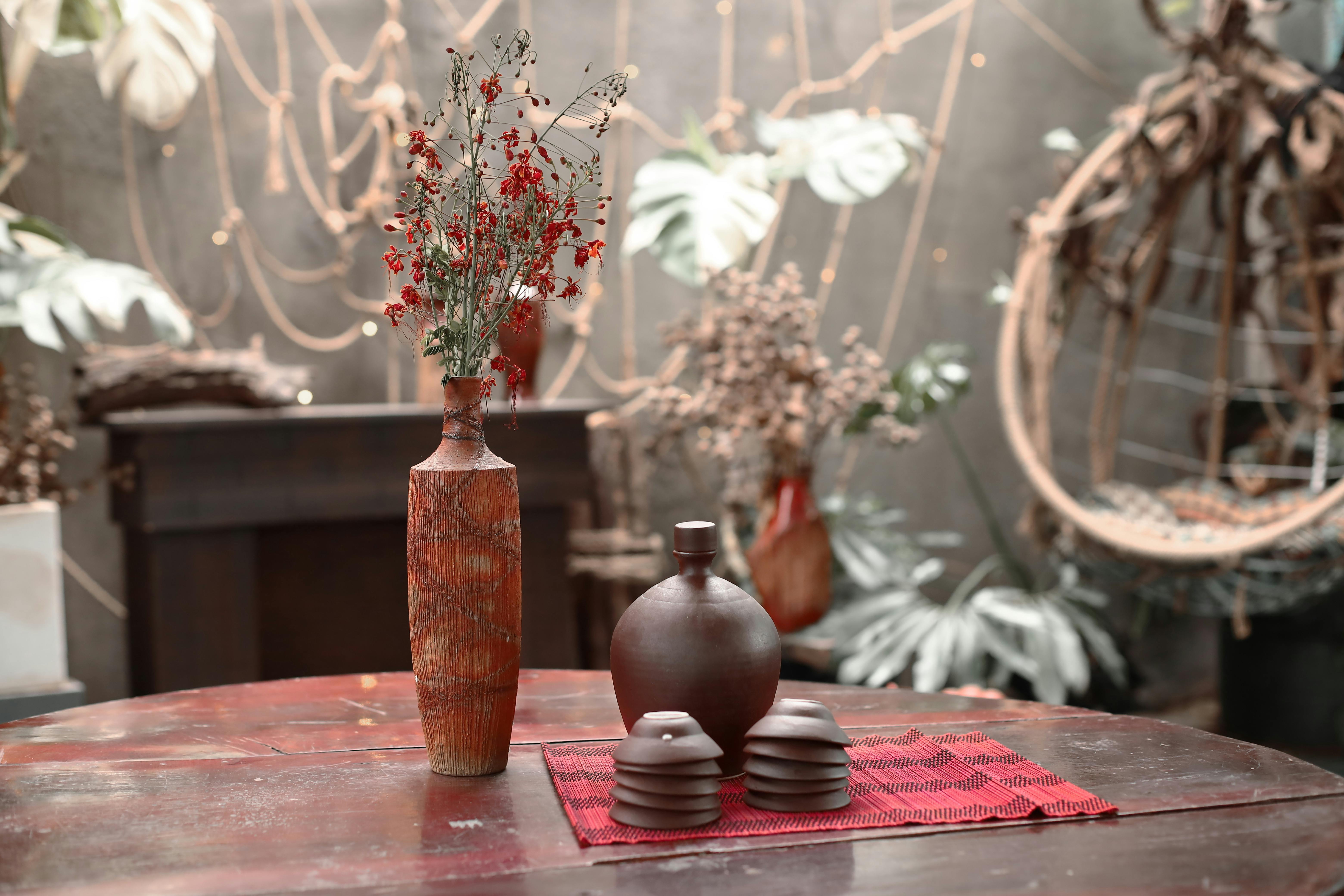 Pexels | 🇻🇳🇻🇳Nguyễn Tiến Thịnh 🇻🇳🇻🇳