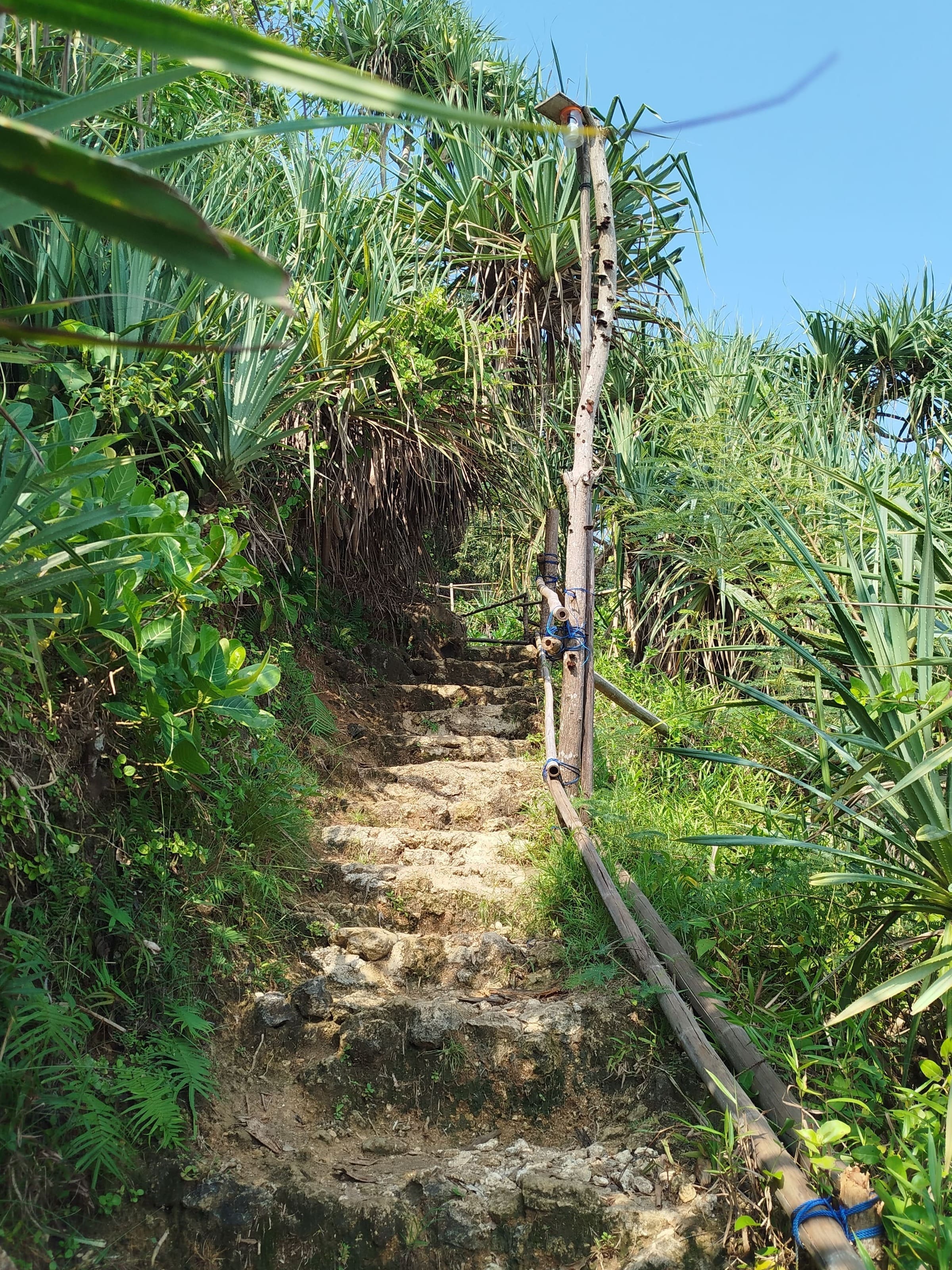 Foto Tangga dari Sisi Bawah