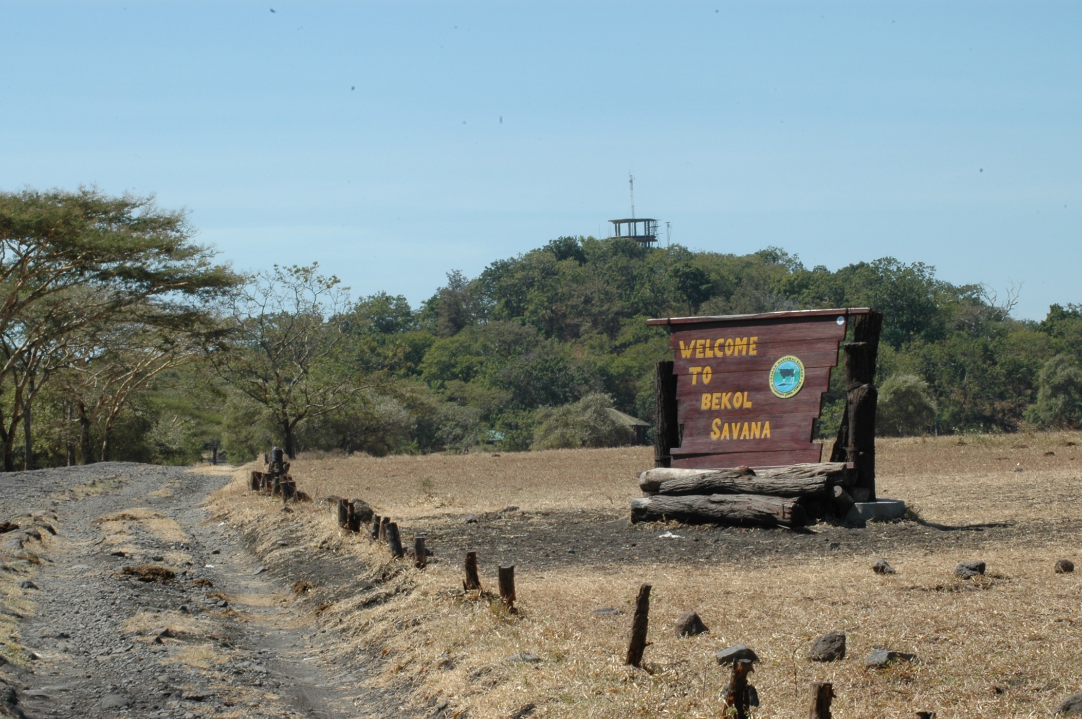 Sumber: Wikimedia Commons/CC-BY-SA-4.0.