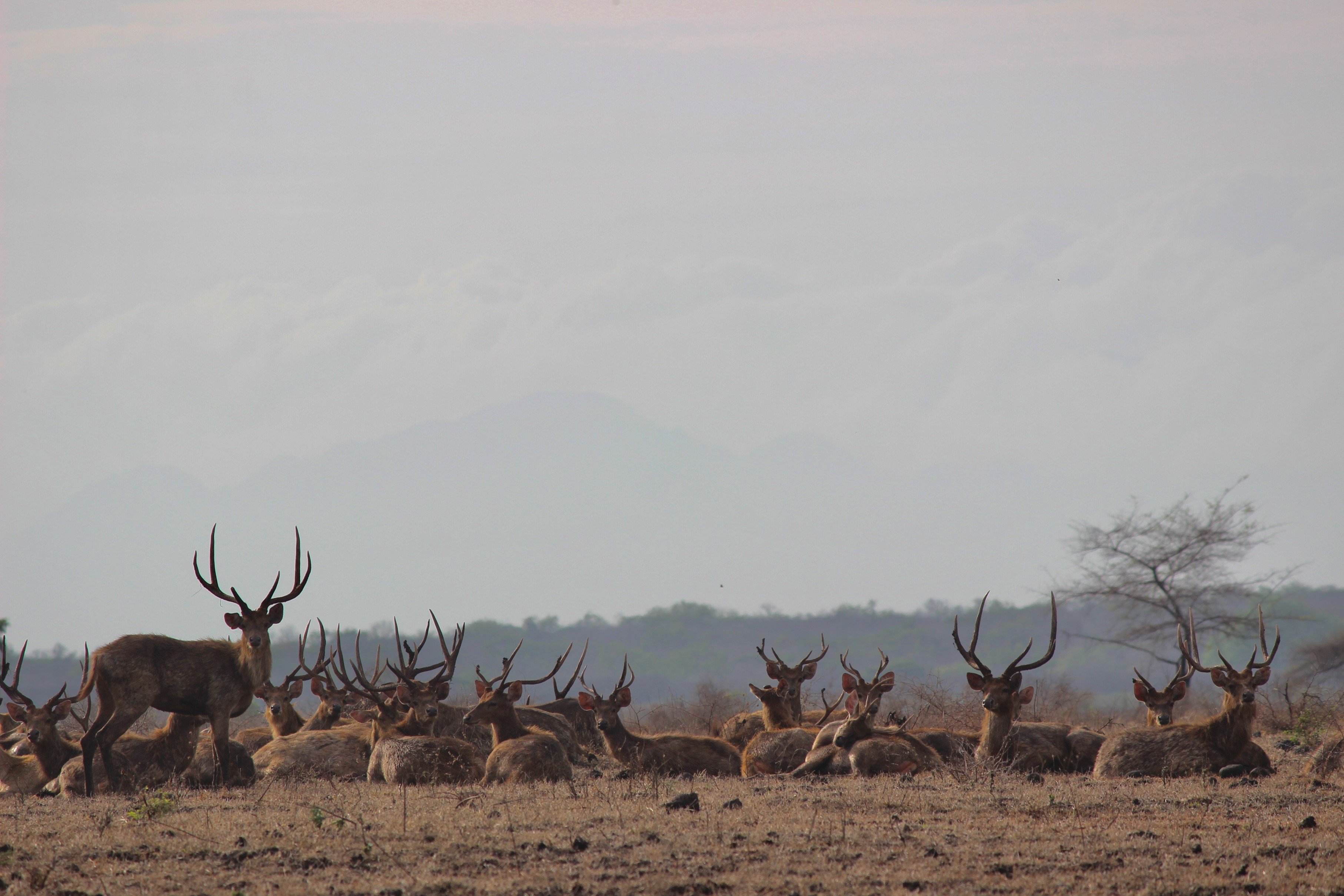 Sumber: Wikimedia Commons/CC-BY-SA-4.0.