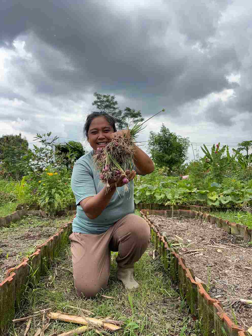 Ester saat panen bawang merah di Kebun Candi