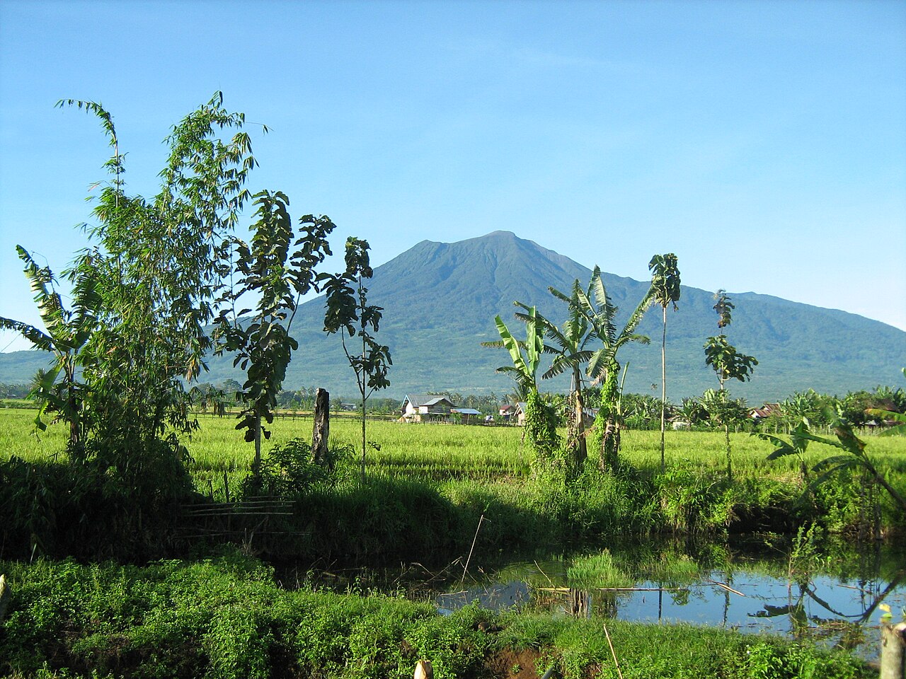 Pemandangan Gunung Dempo di Kota Pagar Alam (Gambar dari Wikimedia Commons oleh Susansumi)