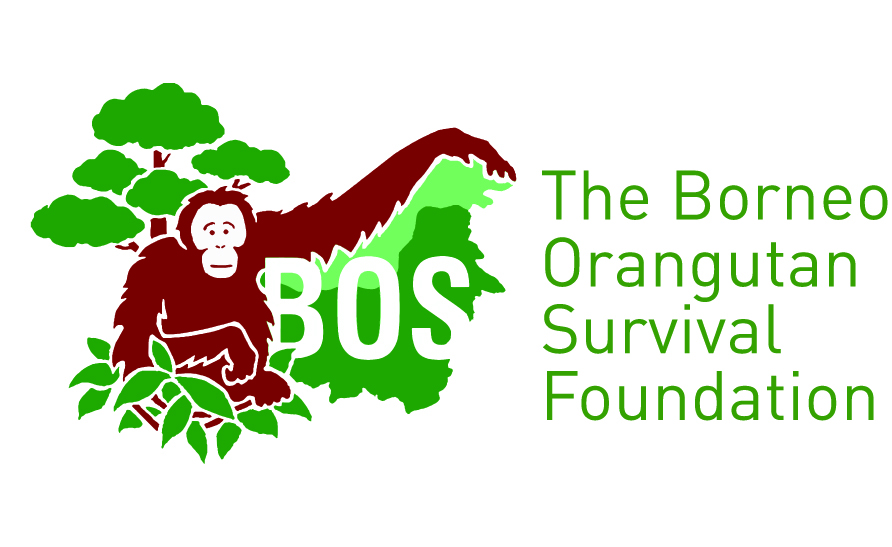 Logo BOS, Organisasi yang Merawat Bayi-bayi Orangutan yang Kehilangan Induk Akibat Perburuan atau Penggundulan Hutan. Sumber: Wikimedia Commons CC-BY-SA-4.0.