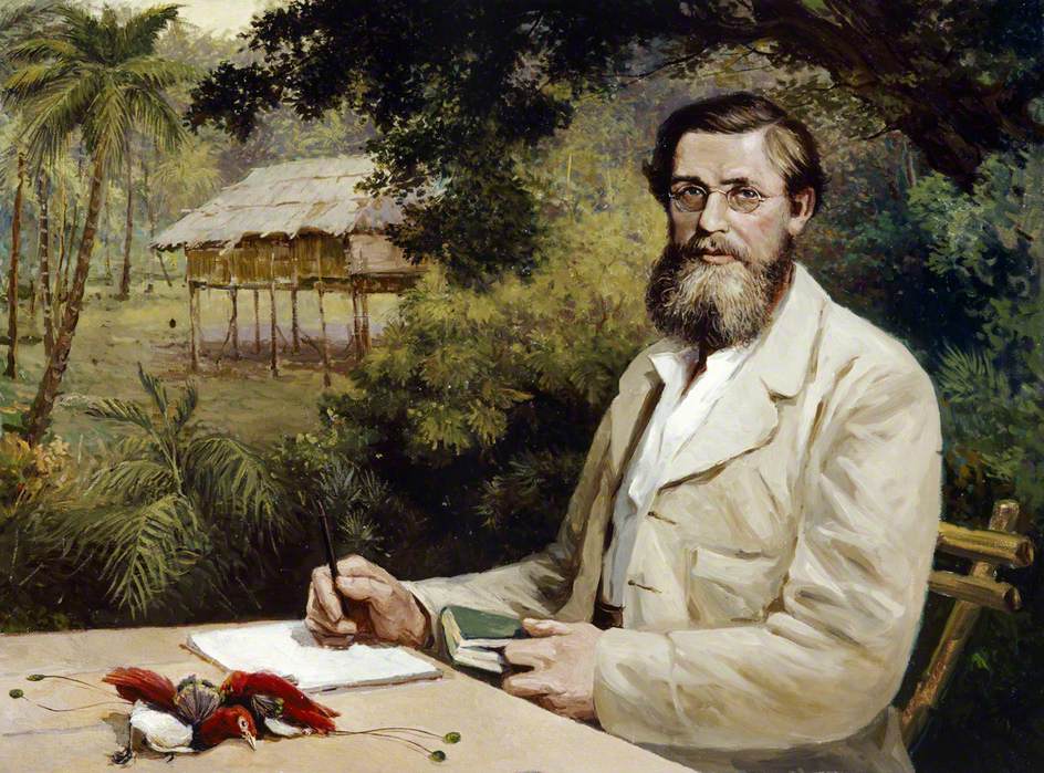 Alfred Russel Wallace | Credit: UK/English Heritage Photo Library/Bridgeman