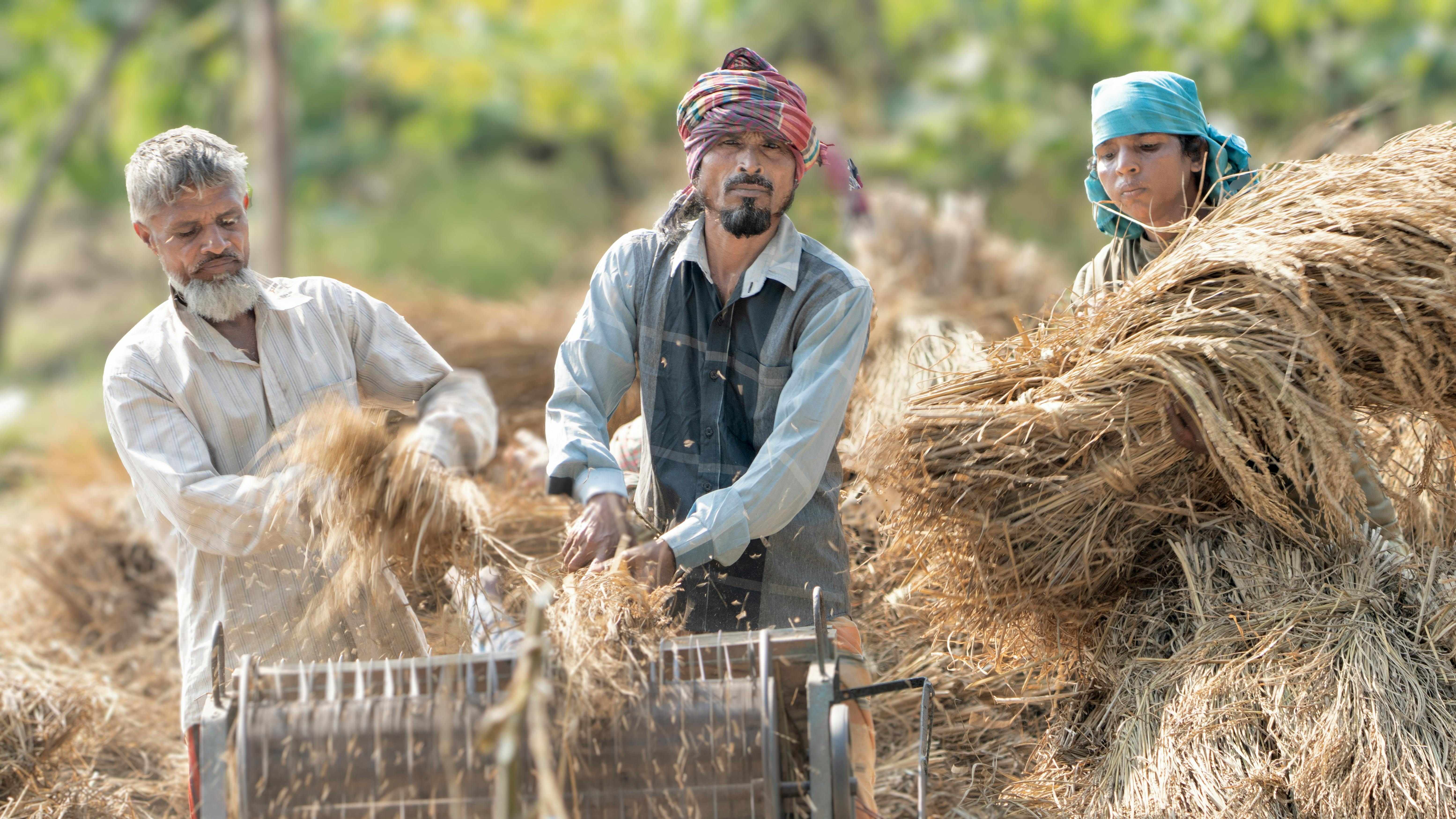 Pexels | Musaddek Sayek