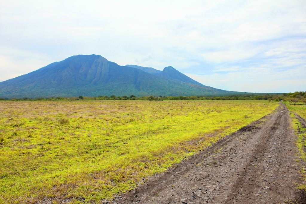 Sumber: Wikimedia Commons CC-BY-2.0.