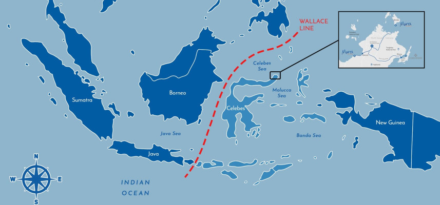 the-line-that-divides-indonesian-wildlife-what-is-the-wallace-line-sdfmp6vw60jpg.jpeg