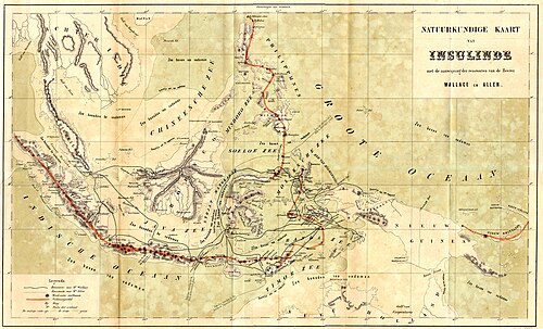 Peta dari The Malay Archipelago menunjukkan geografi fisik kepulauan tersebut serta perjalanan Wallace di seluruh wilayah tersebut. Garis hitam tipis menunjukkan rute perjalanan Wallace, sedangkan garis merah menunjukkan deretan gunung berapi.